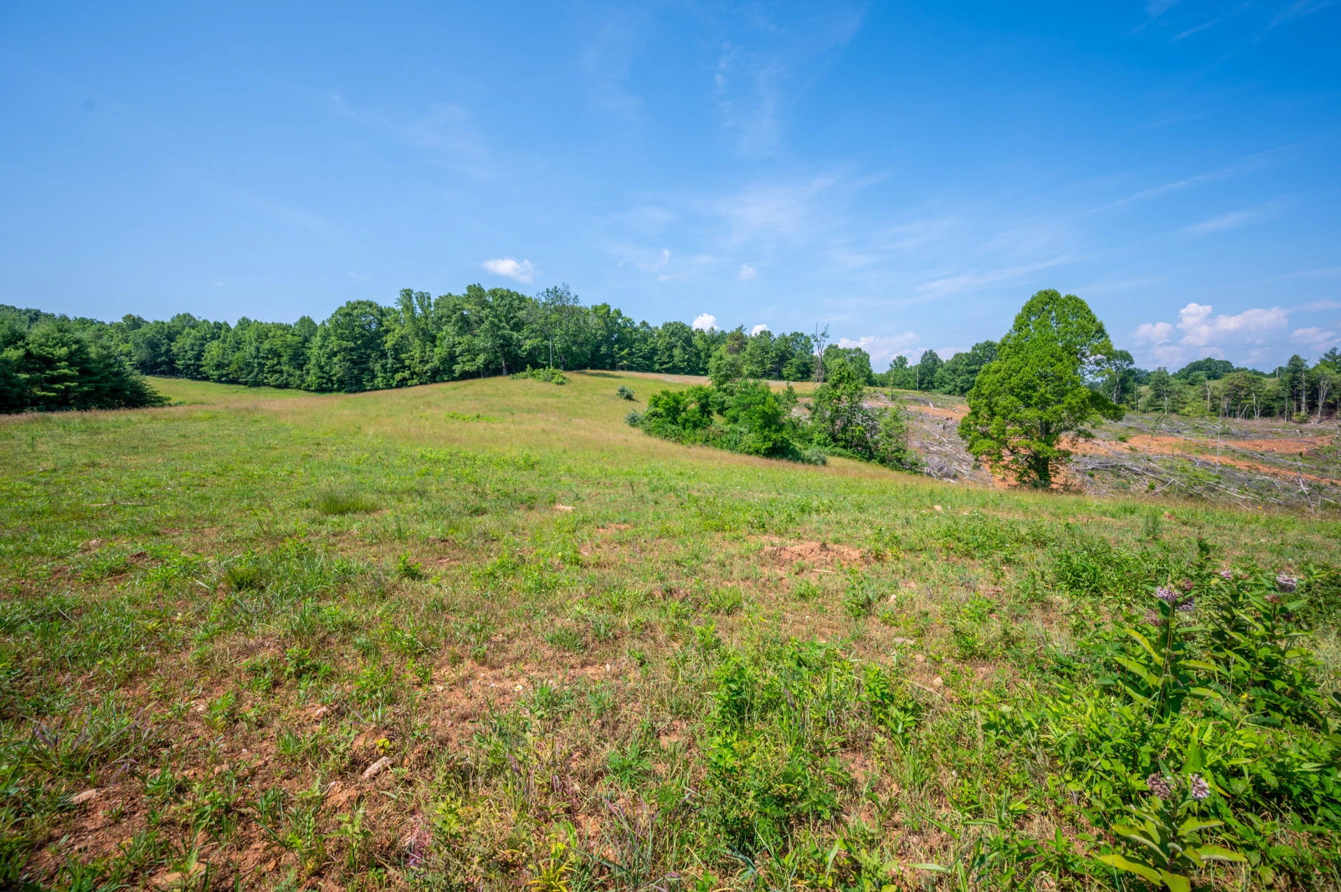 000 Fairhaven DR - Photo 2