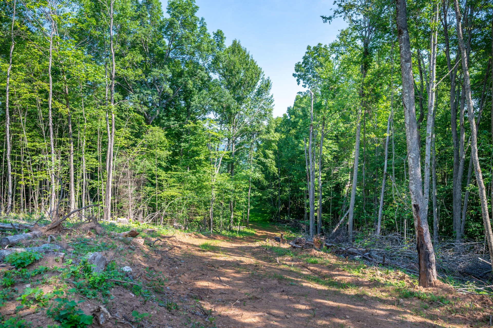 000 Fairhaven DR - Photo 24