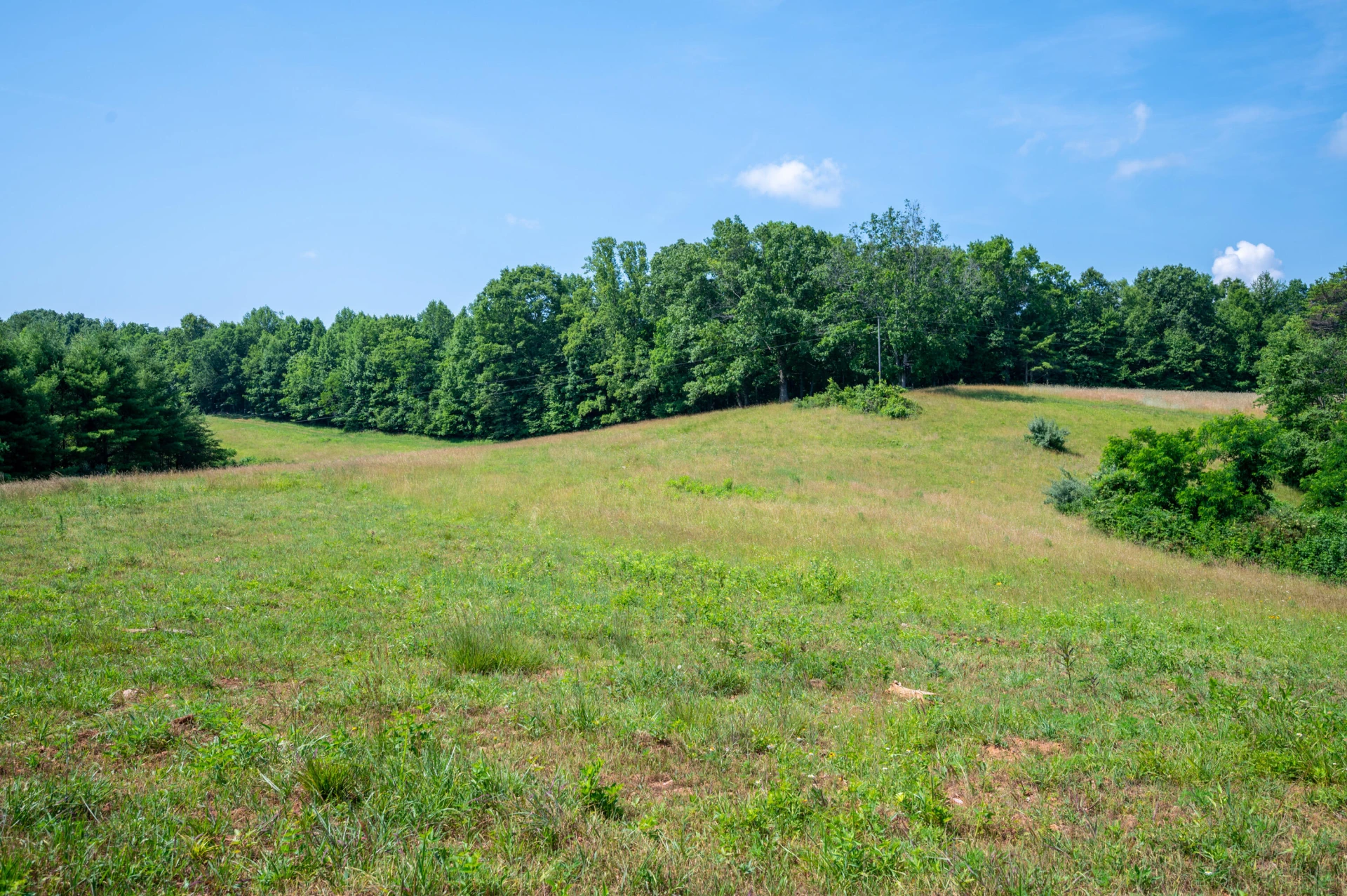 000 Fairhaven DR - Photo 31