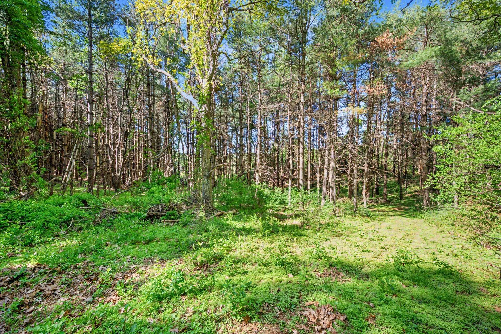 1370 Graysville RD SE - Photo 11