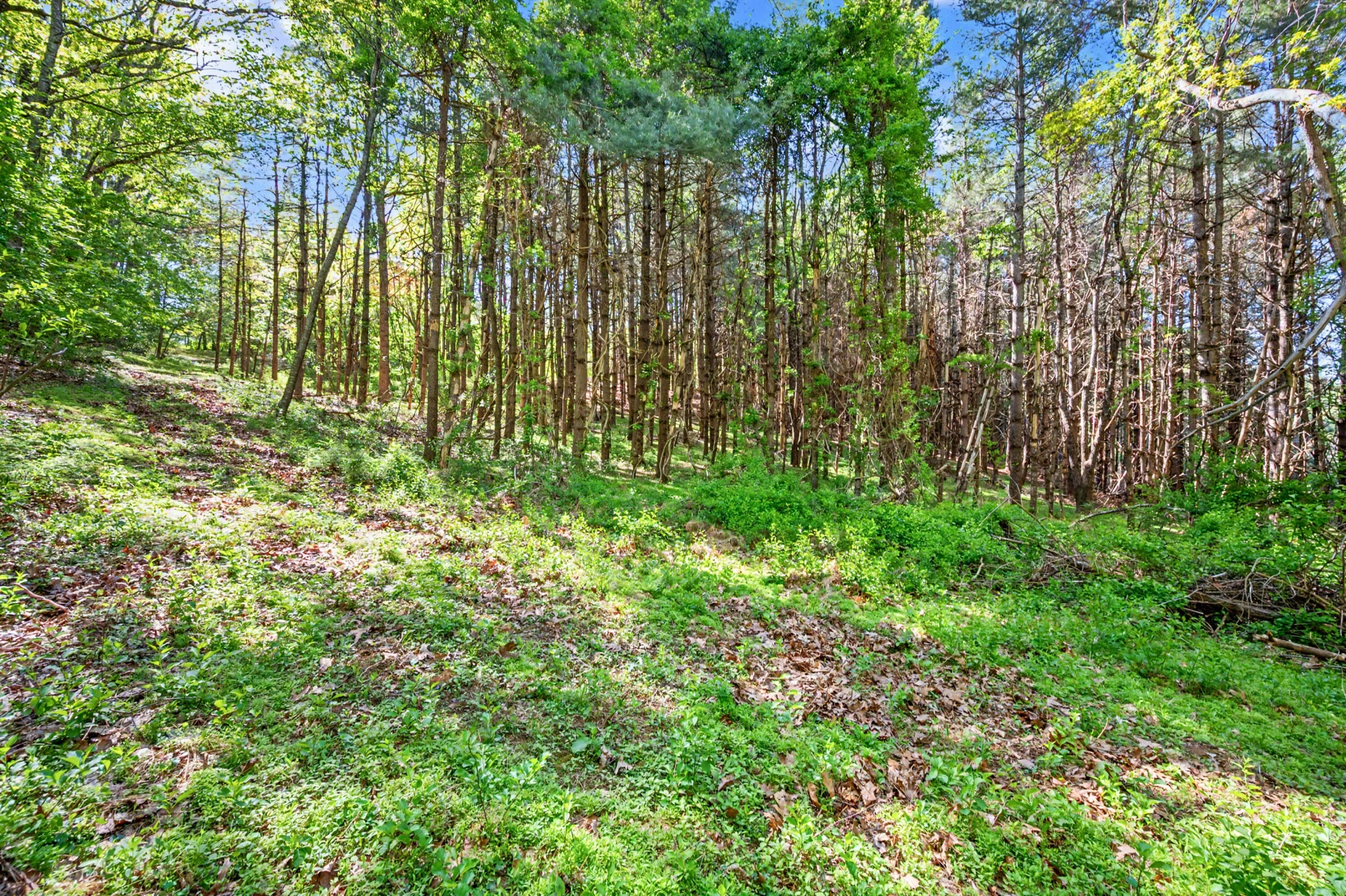 1370 Graysville RD SE - Photo 12