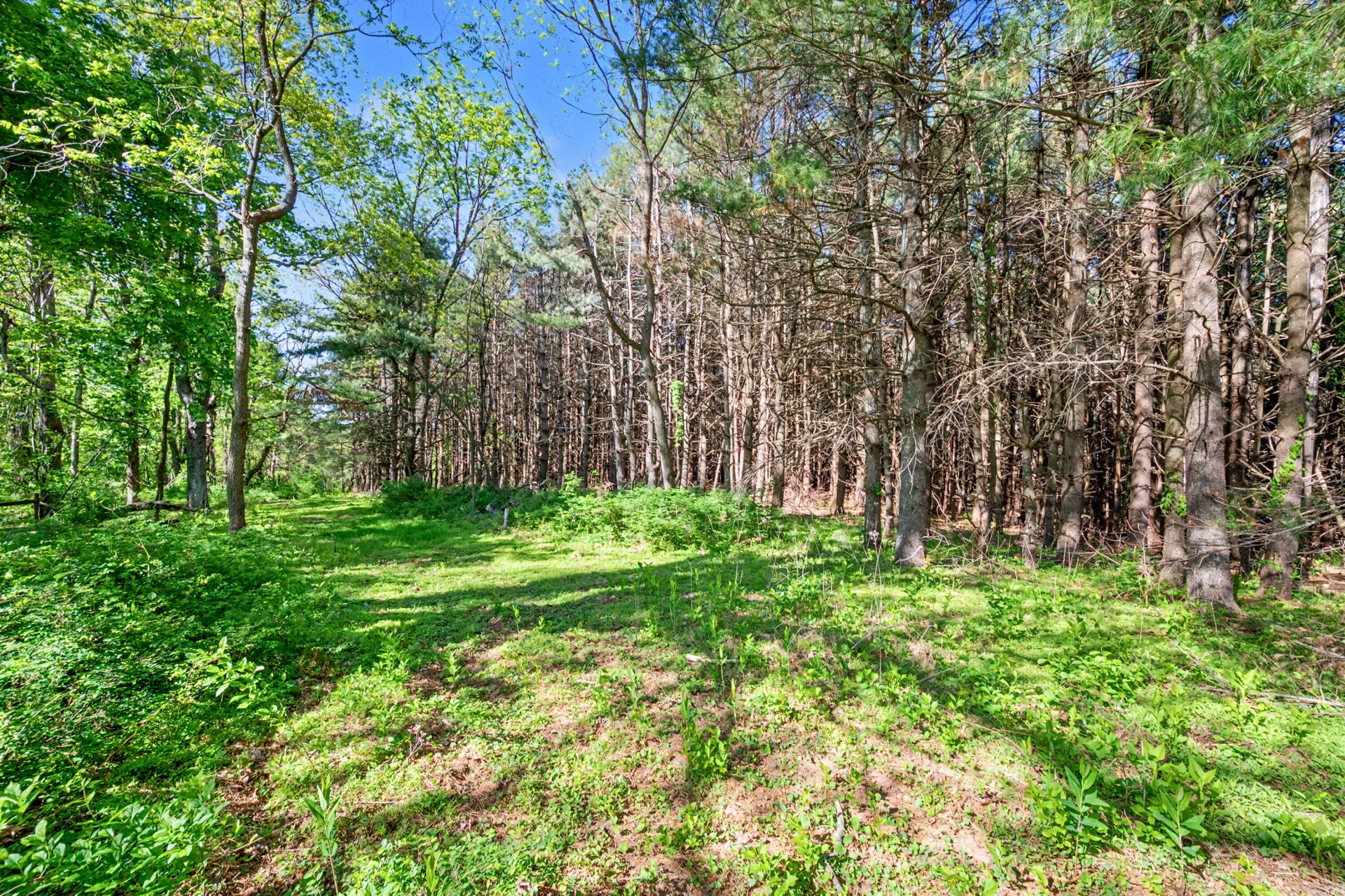1370 Graysville RD SE - Photo 16