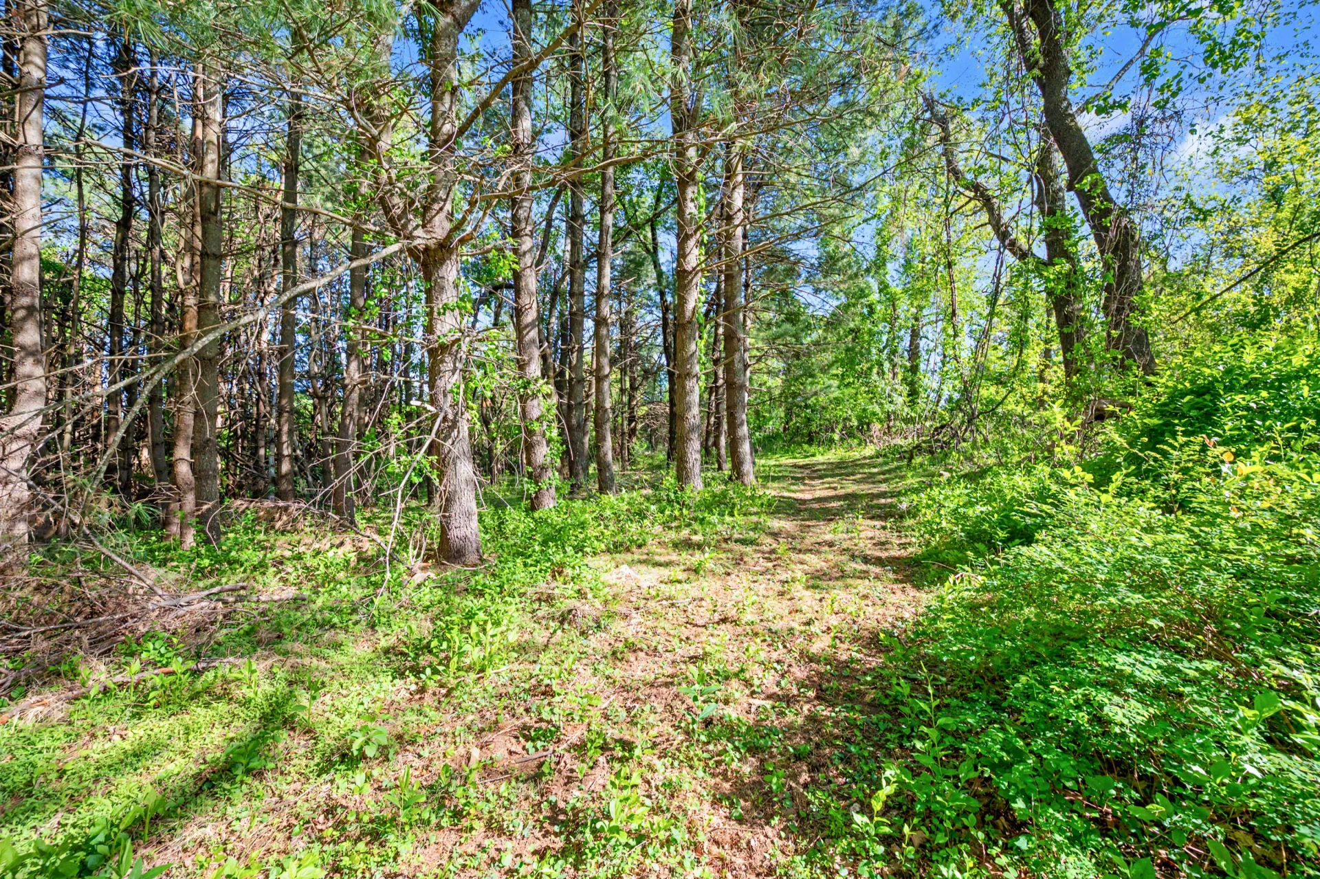 1370 Graysville RD SE - Photo 17