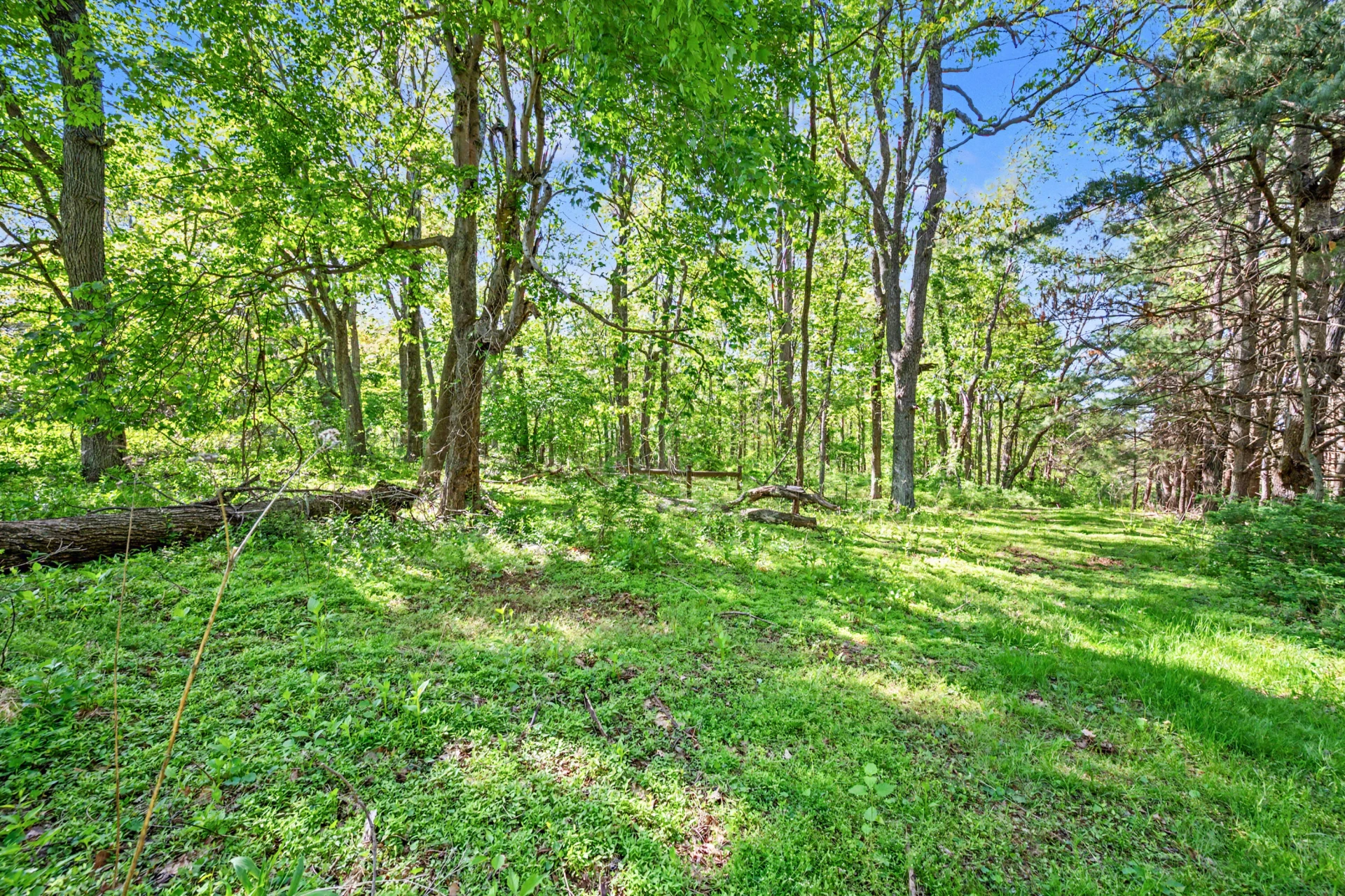 1370 Graysville RD SE - Photo 18