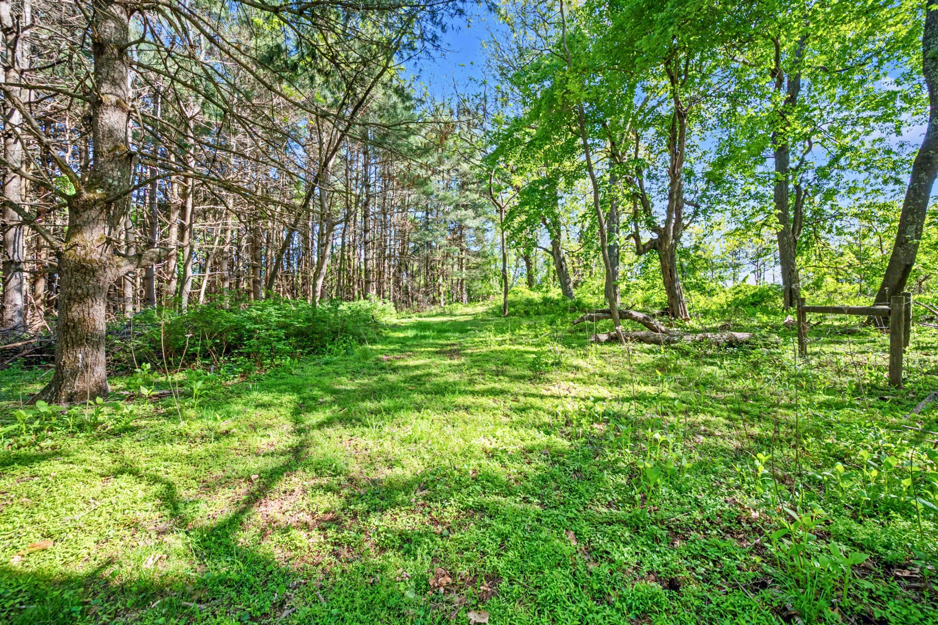 1370 Graysville RD SE - Photo 19