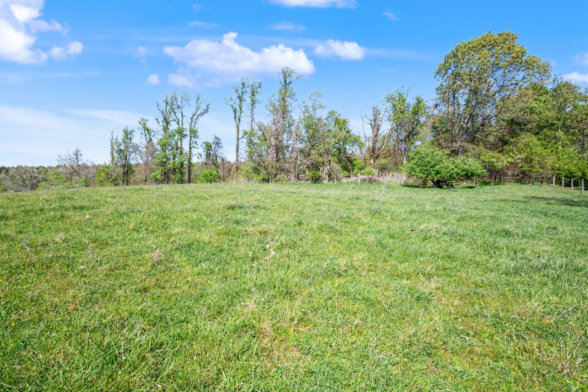 1370 Graysville RD SE - Photo 3