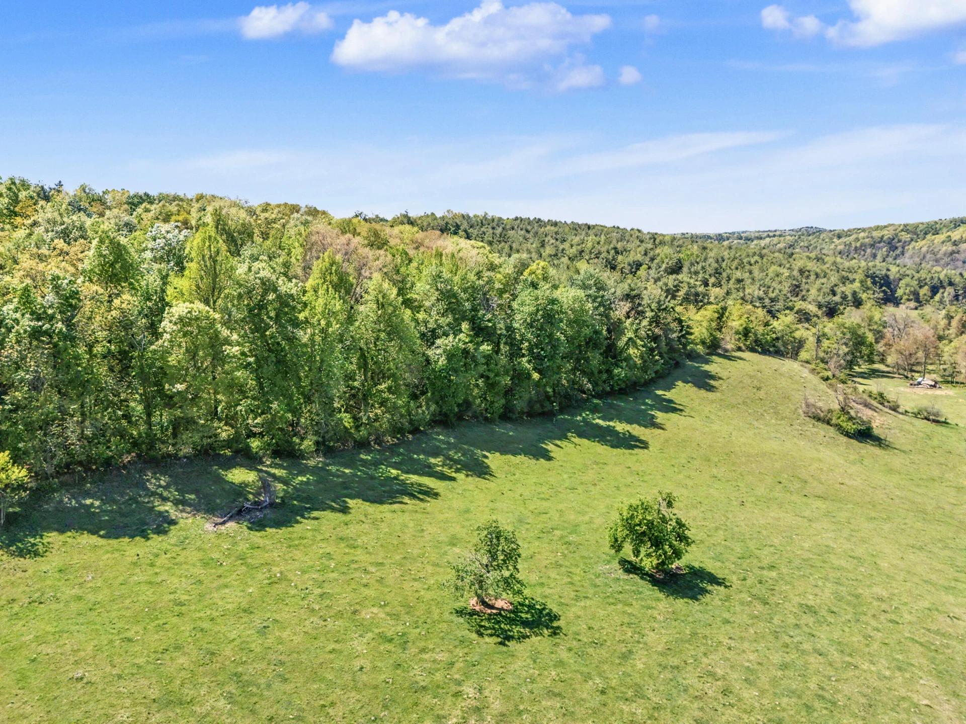 1370 Graysville RD SE - Photo 31