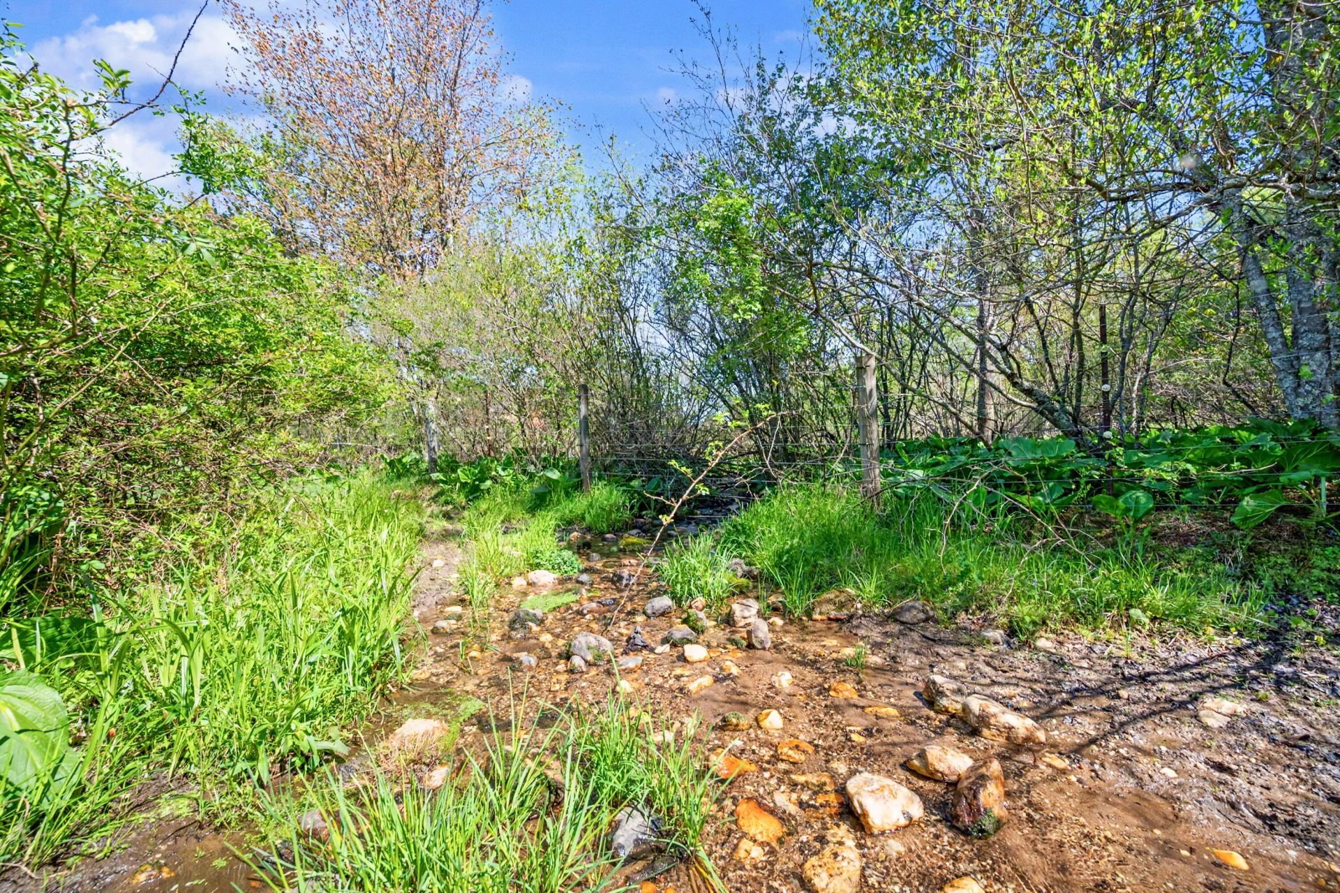 1370 Graysville RD SE - Photo 4