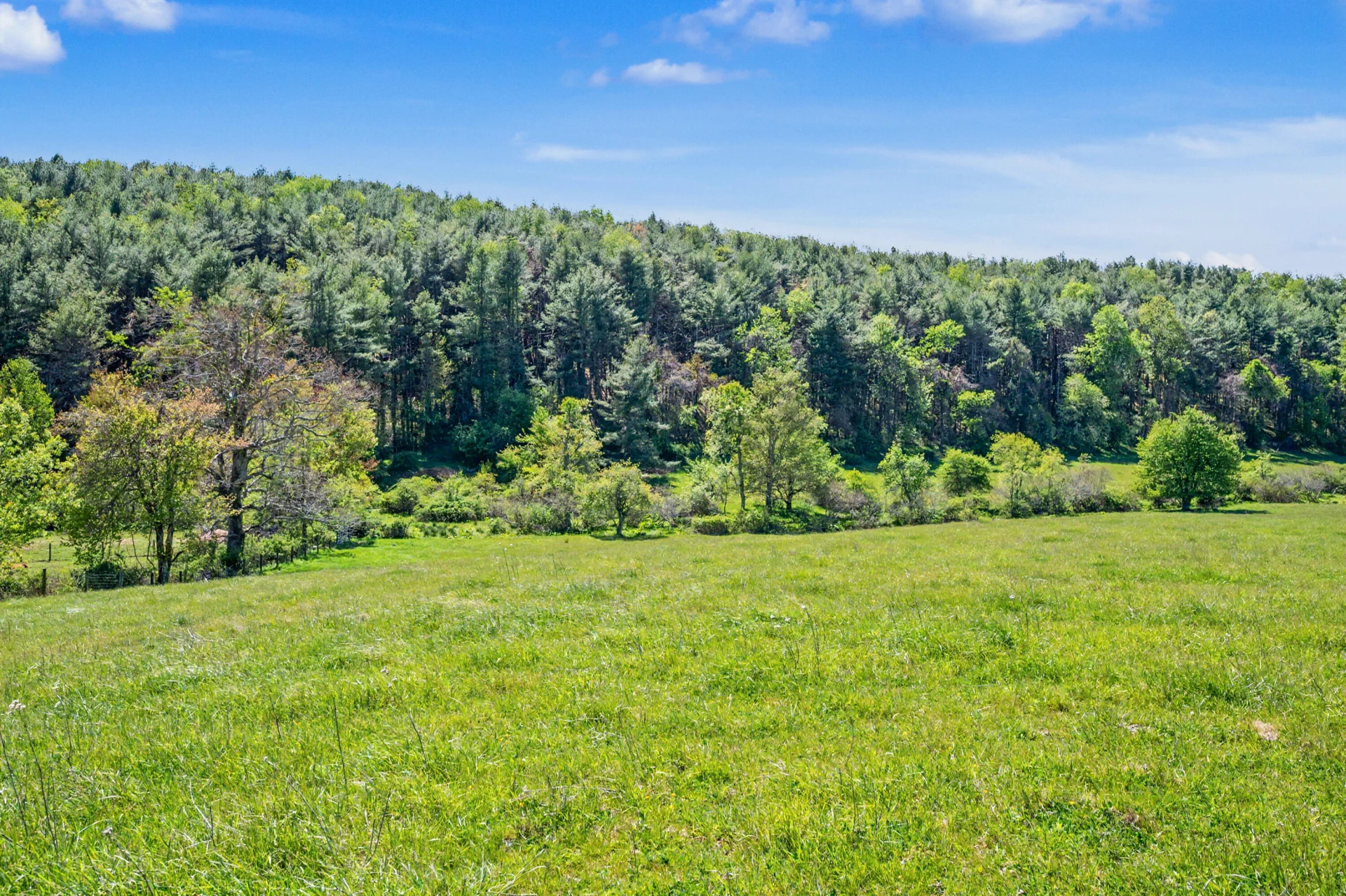 1370 Graysville RD SE - Photo 6