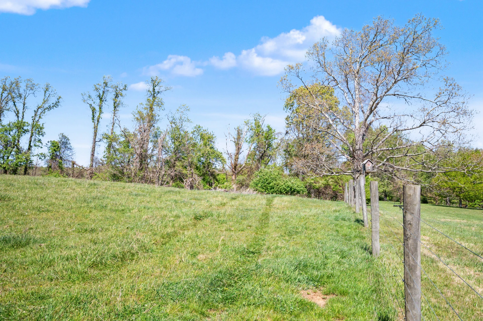 1370 Graysville RD SE - Photo 7