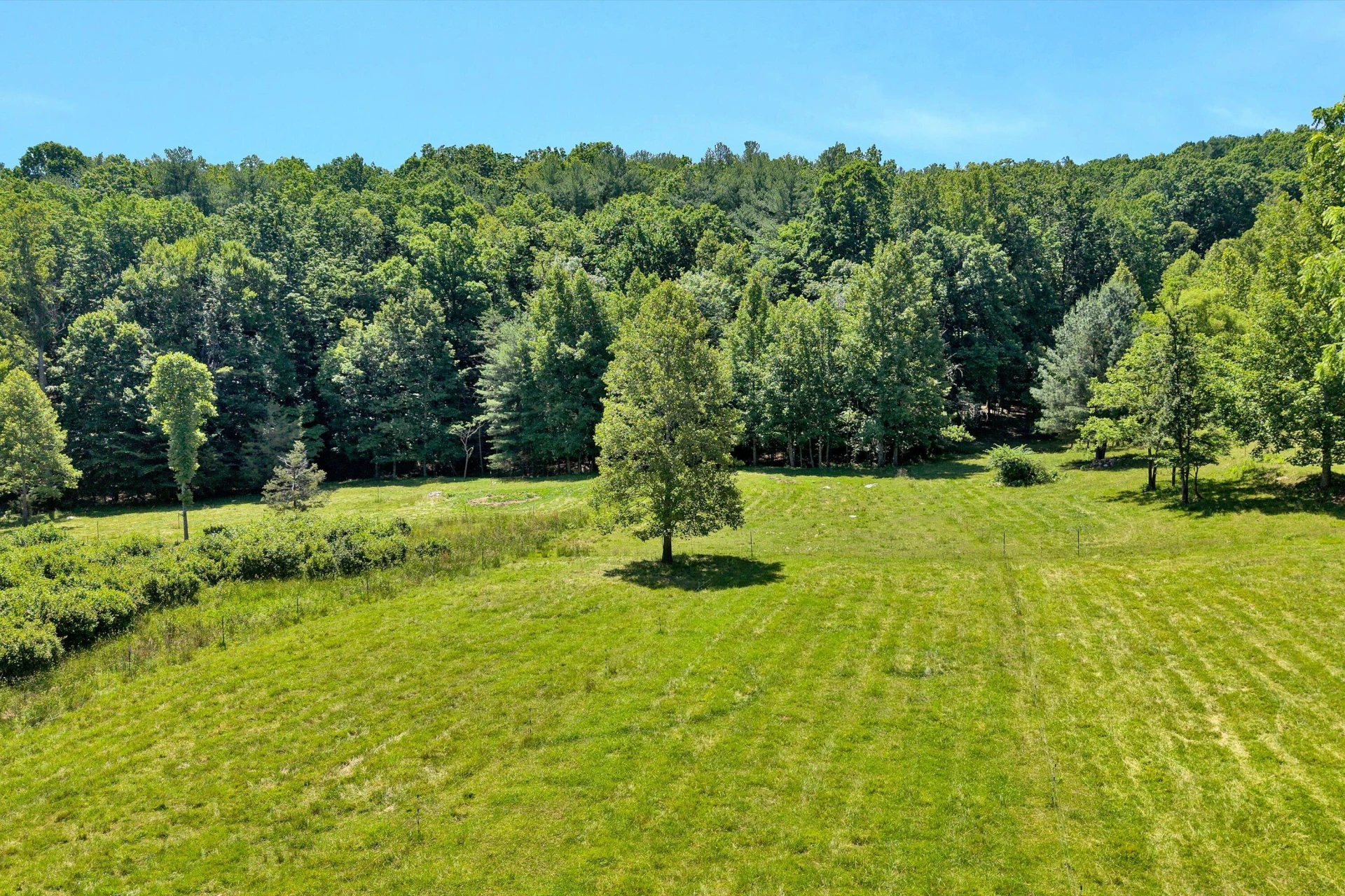 517 Elmer LN - Photo 51