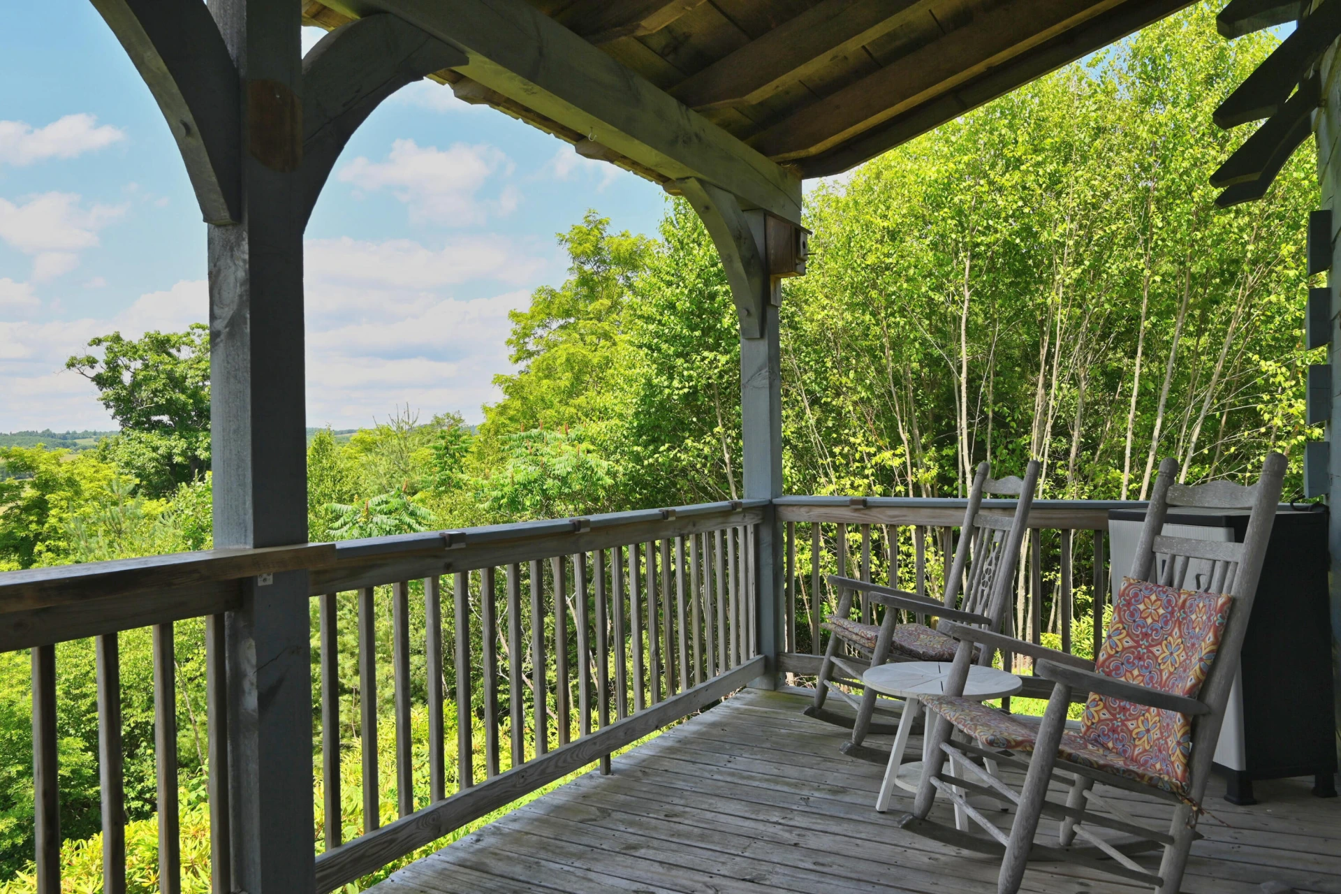 5 Mountain Village LN #45 - Photo 11