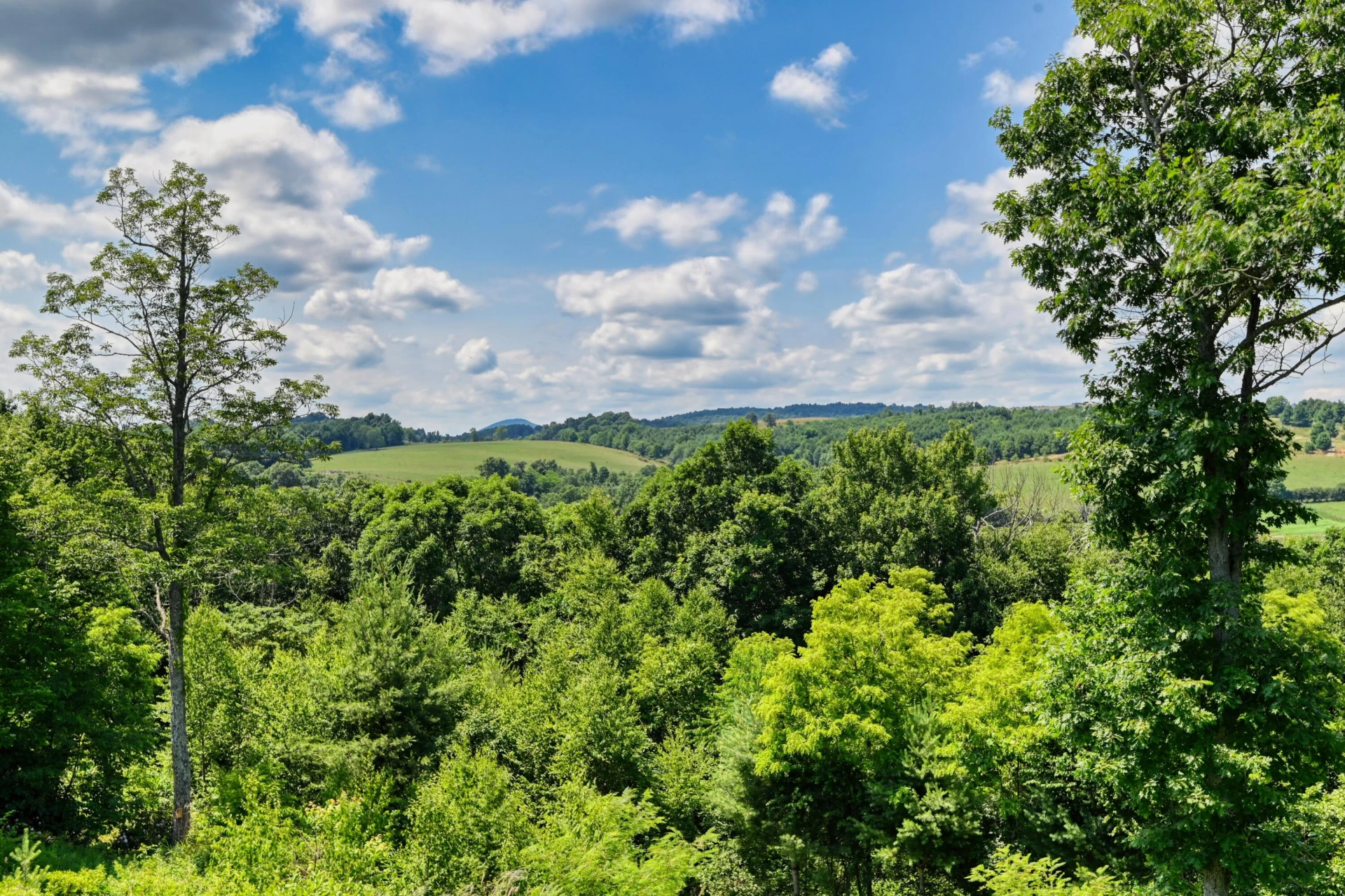 5 Mountain Village LN #45 - Photo 40