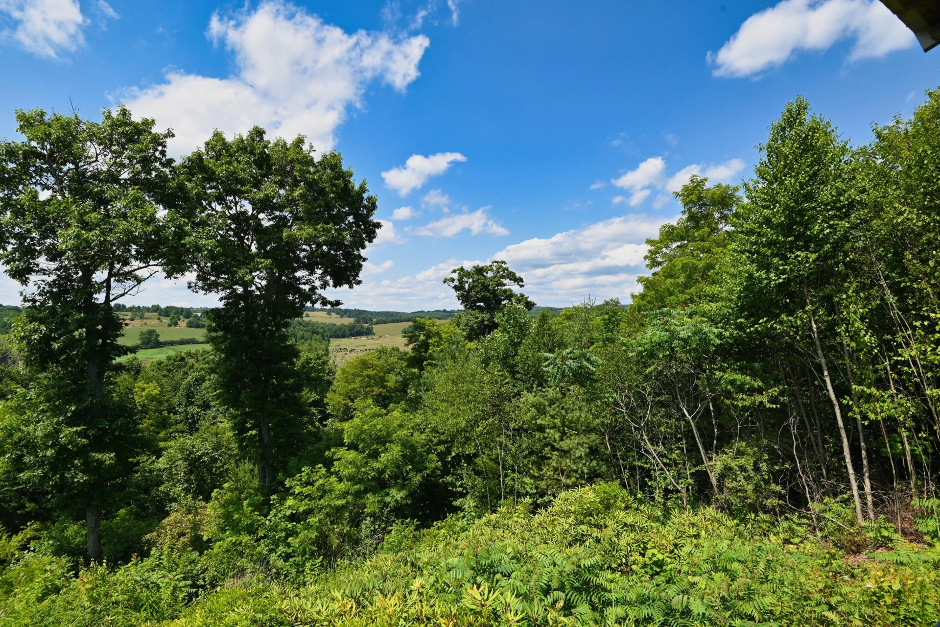 5 Mountain Village LN #45 - Photo 41