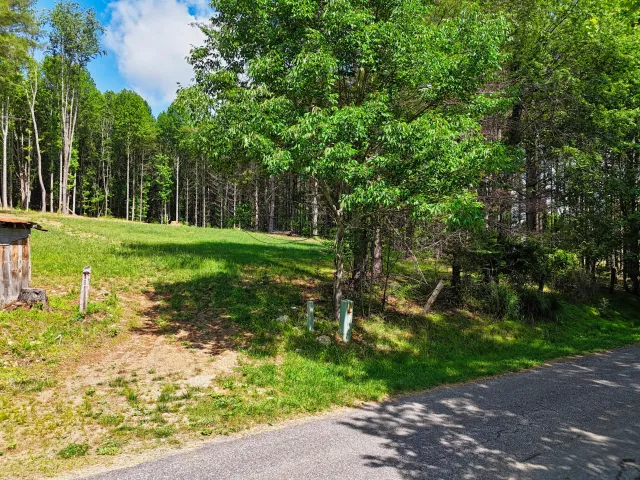 TBD Dogwood LN SW, Willis, VA, 24380