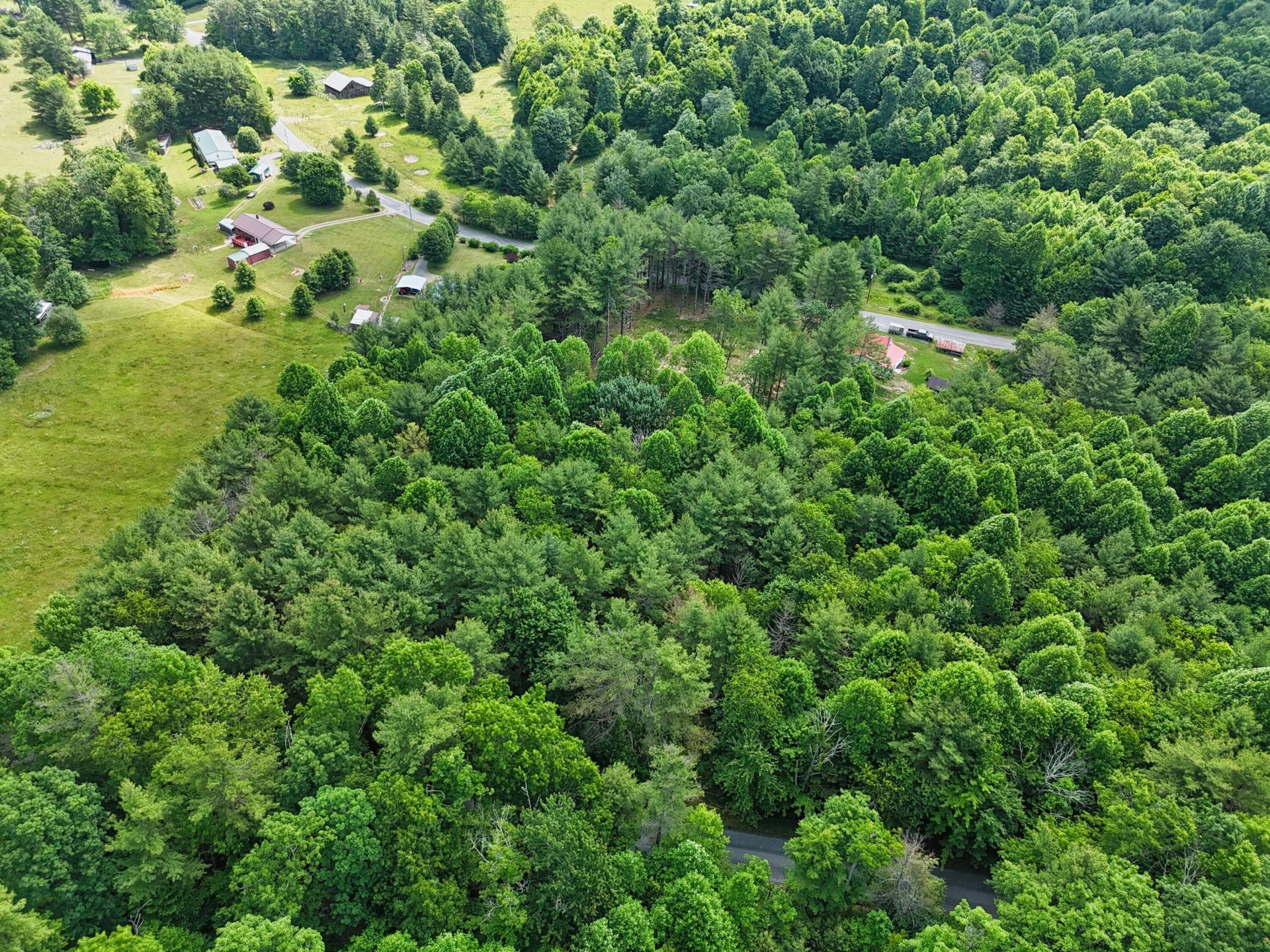 TBD Dogwood LN SW - Photo 10