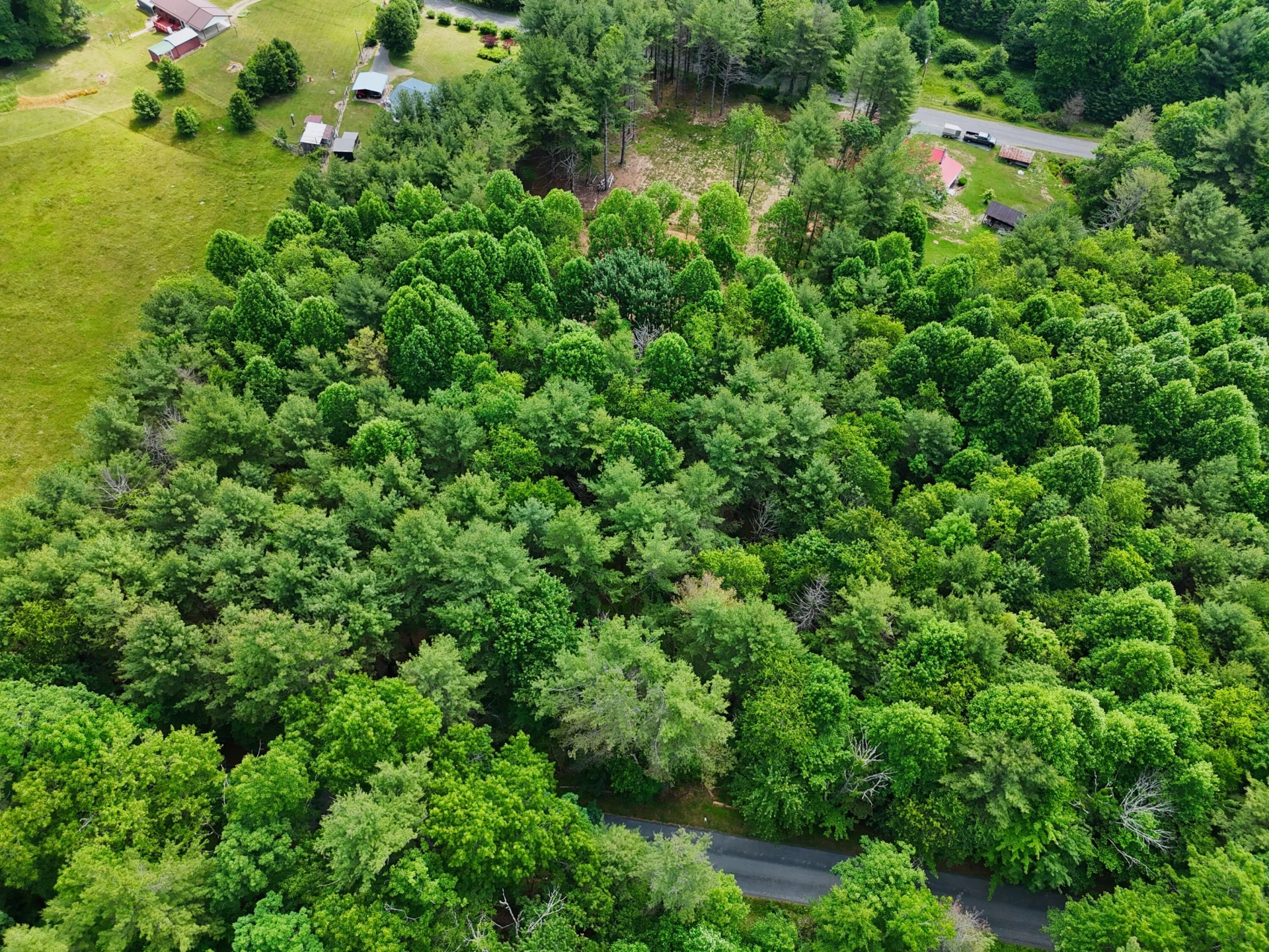 TBD Dogwood LN SW - Photo 12