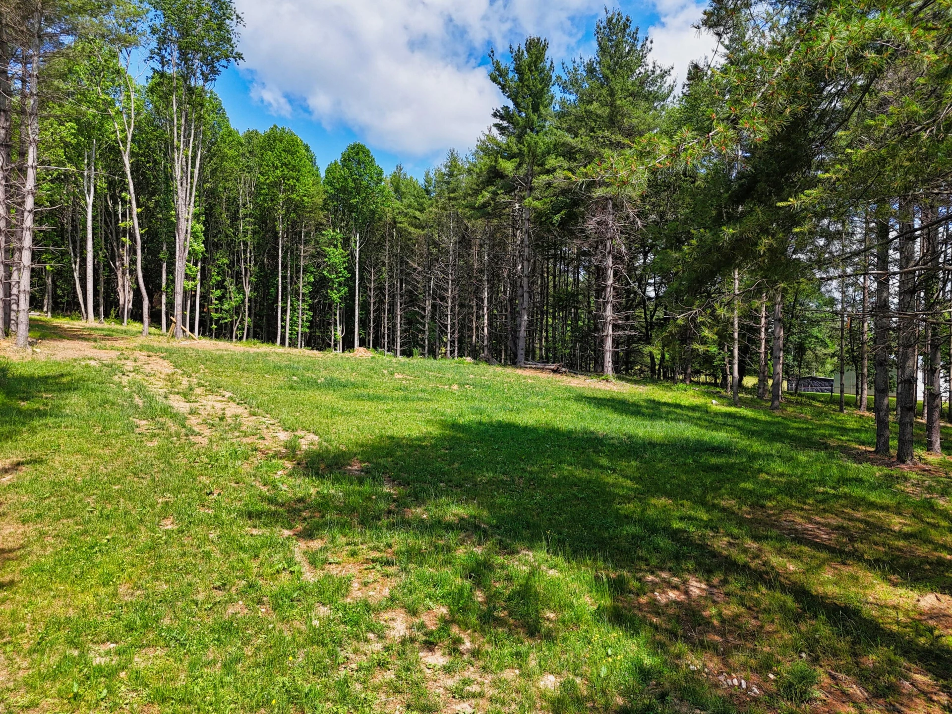 TBD Dogwood LN SW - Photo 2
