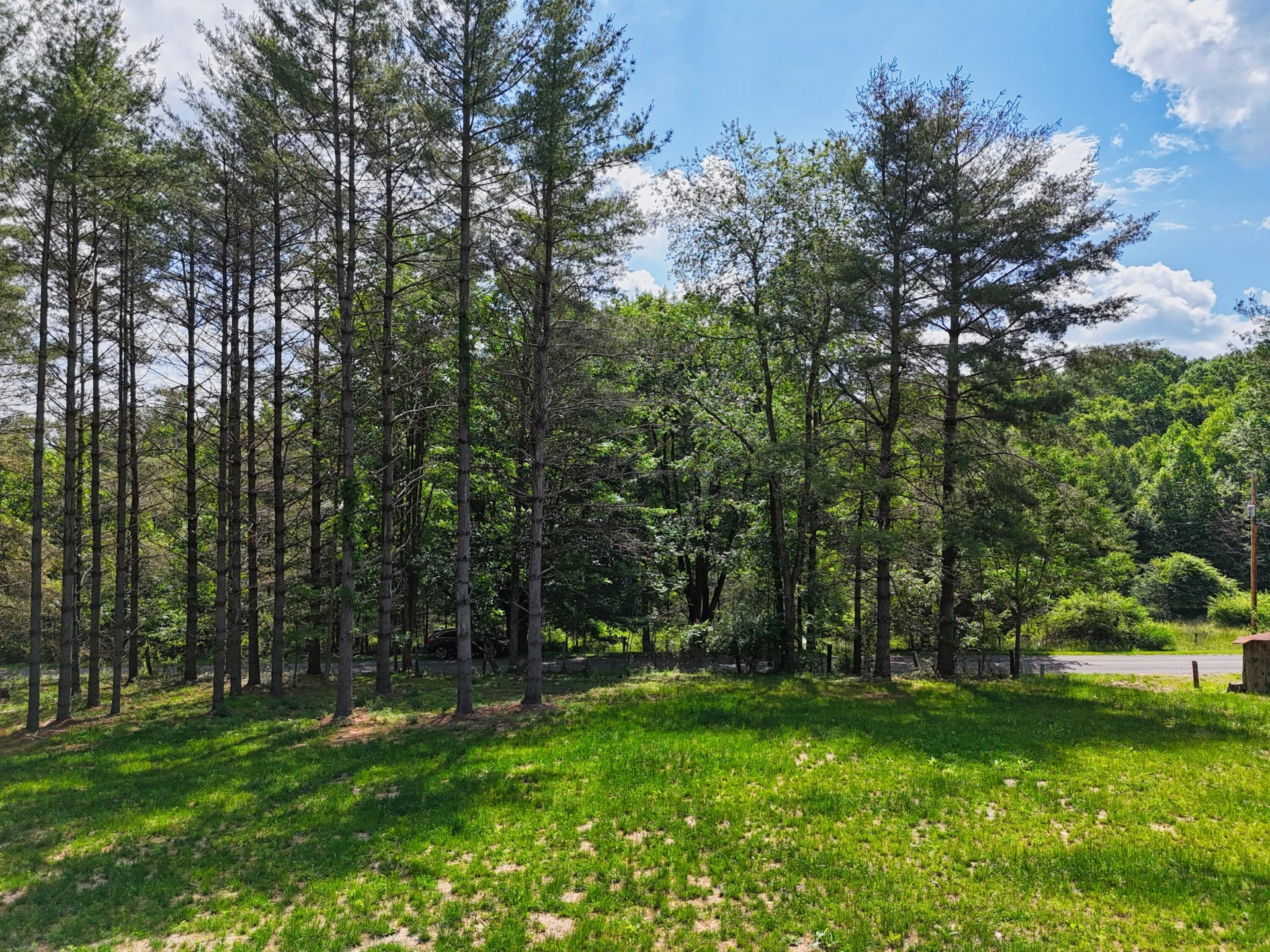 TBD Dogwood LN SW - Photo 3