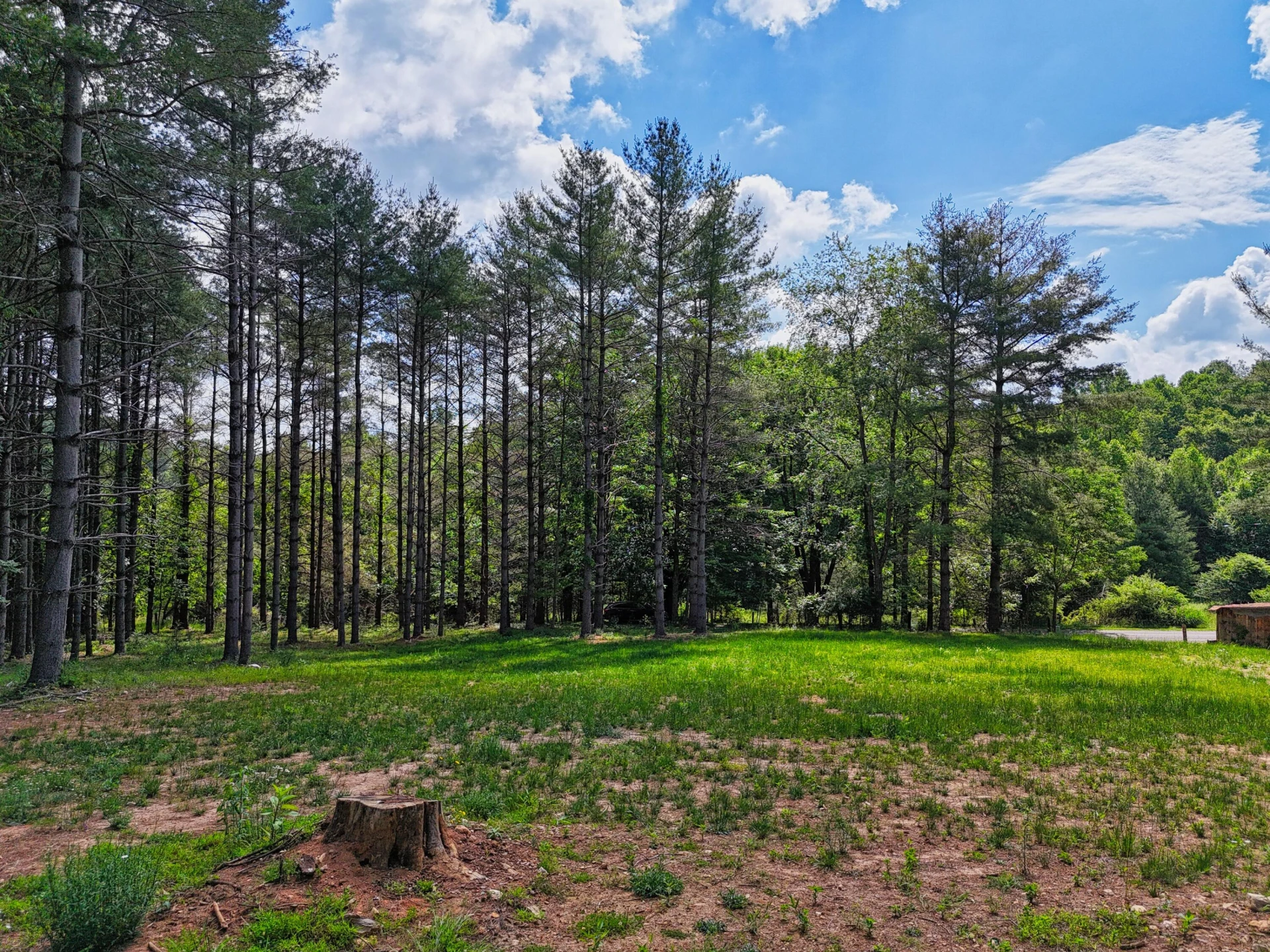 TBD Dogwood LN SW - Photo 4