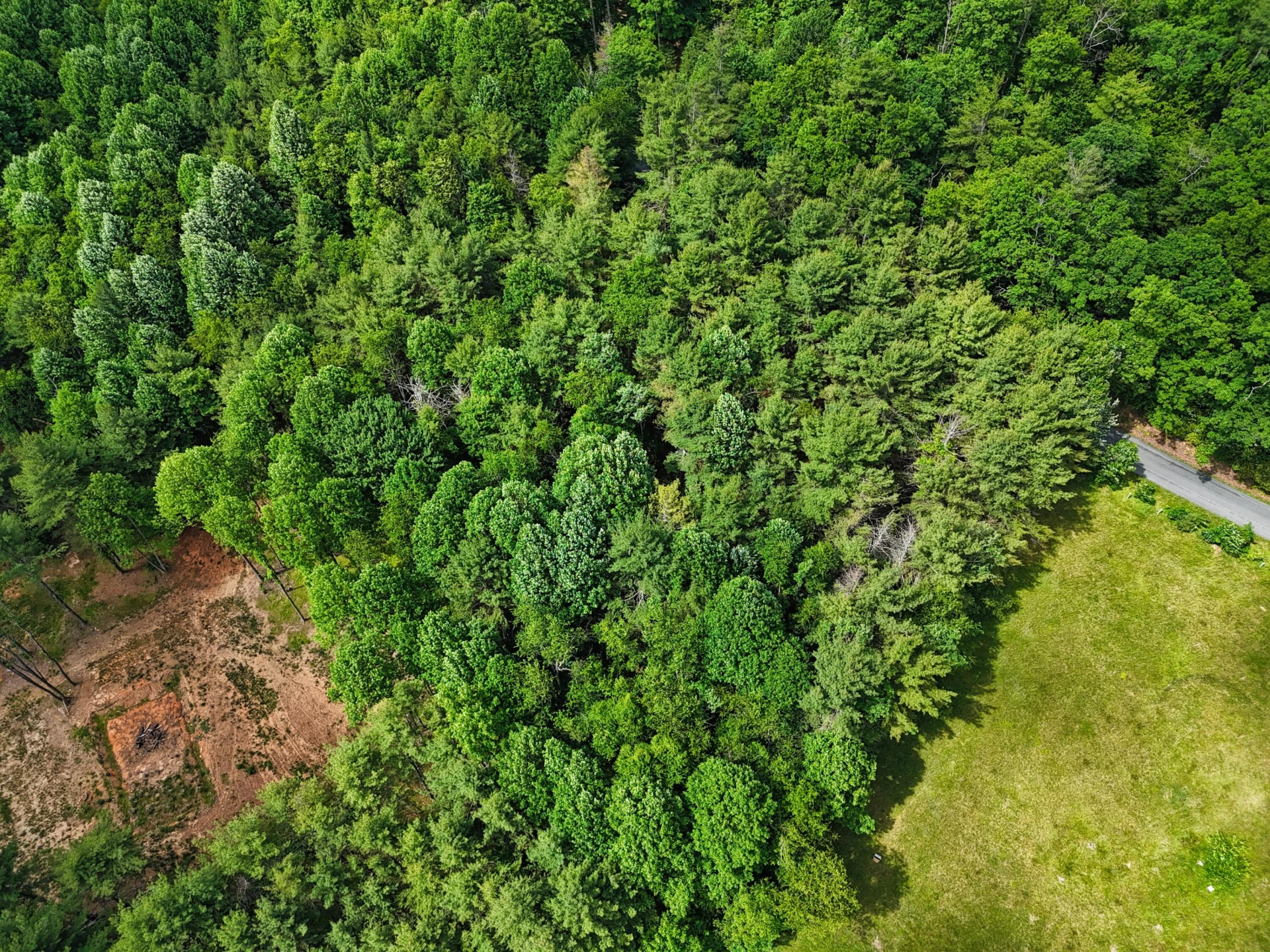 TBD Dogwood LN SW - Photo 9