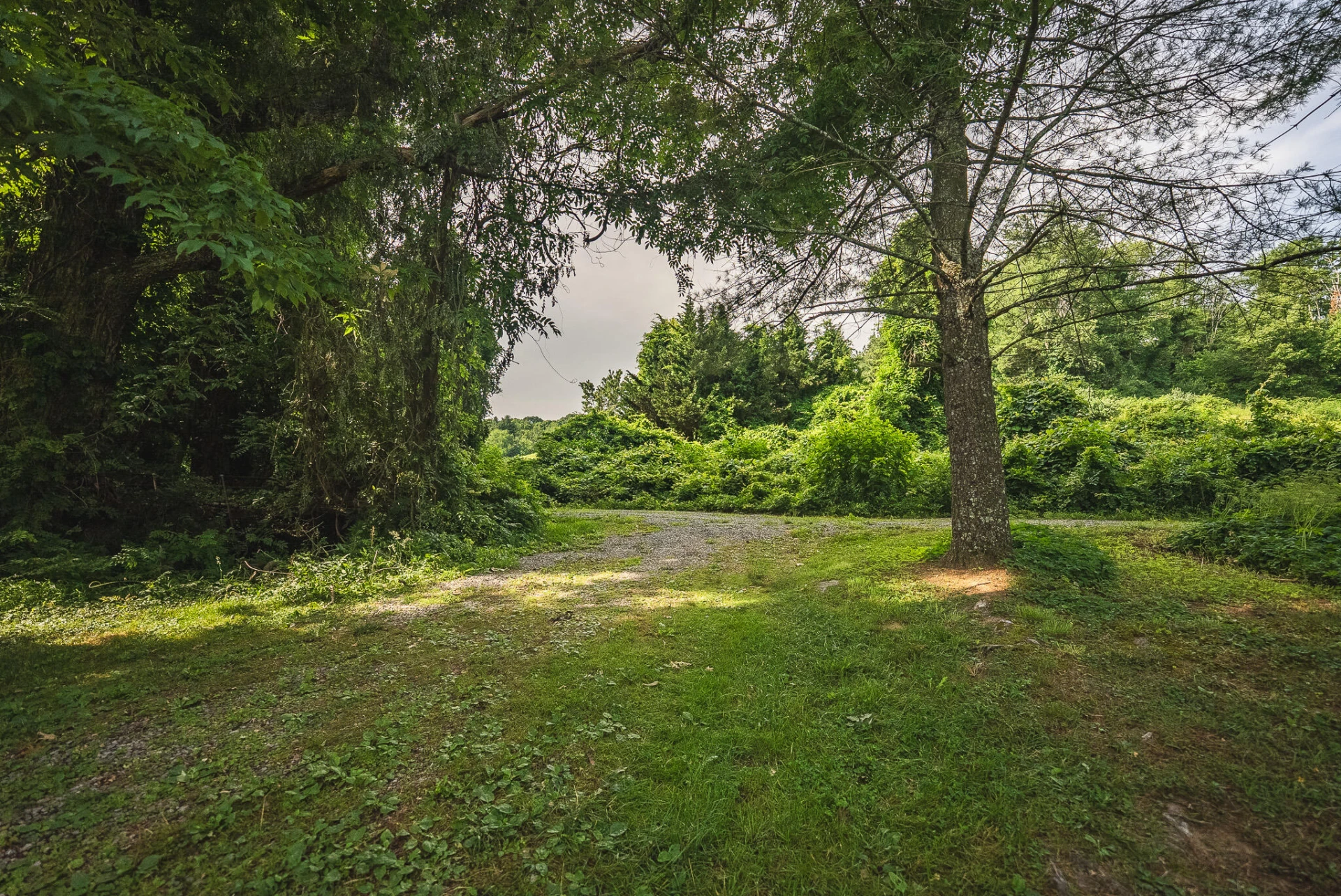 10289 Russwood RD - Photo 11
