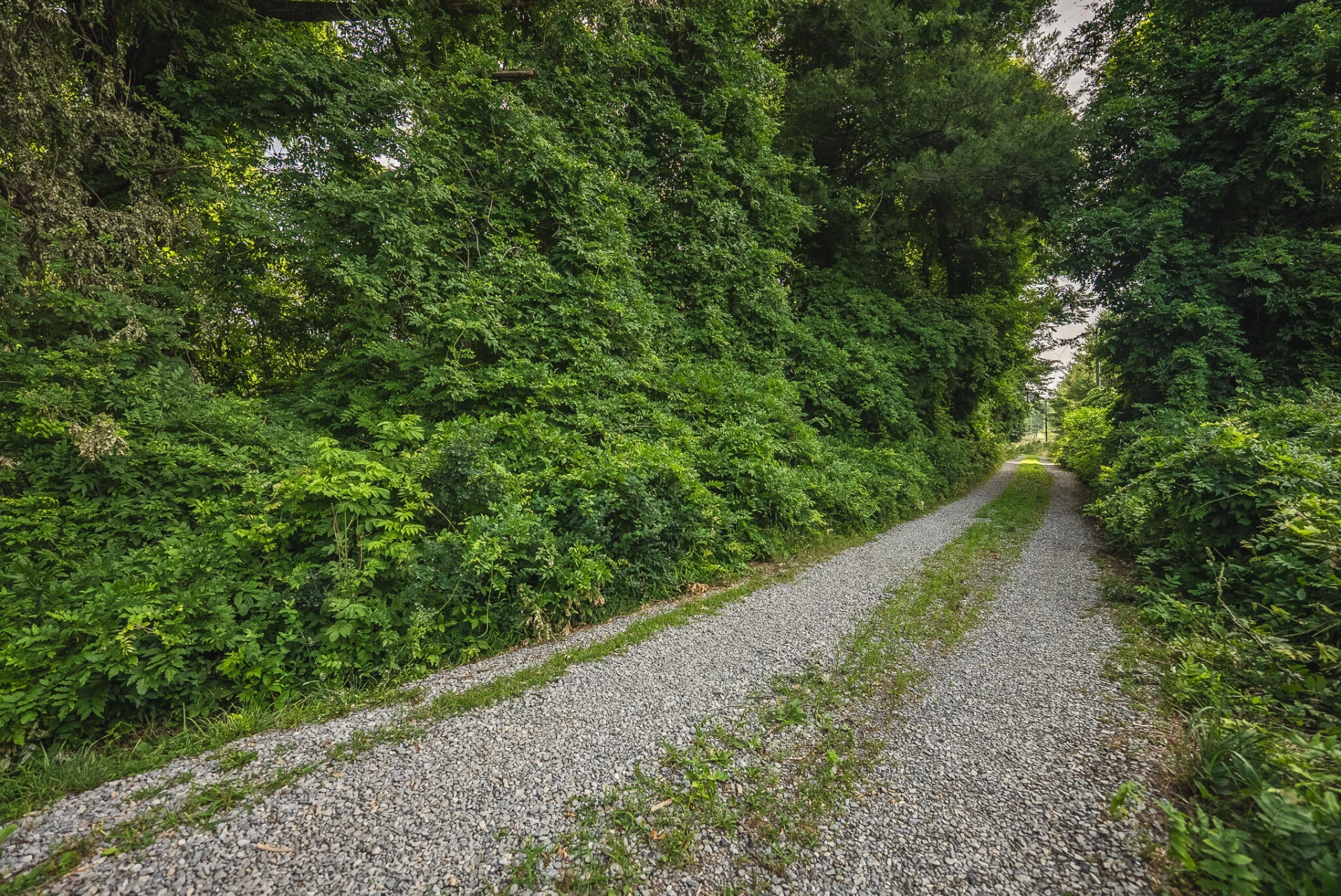 10289 Russwood RD - Photo 12