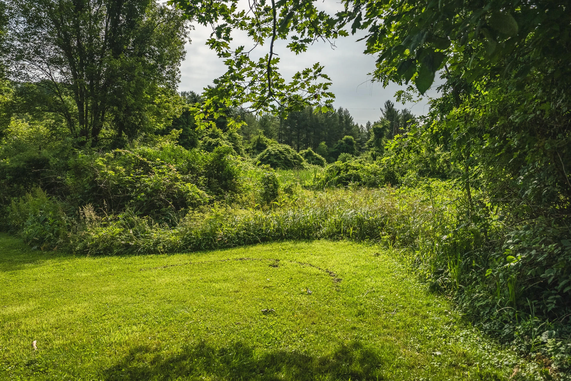10289 Russwood RD - Photo 15