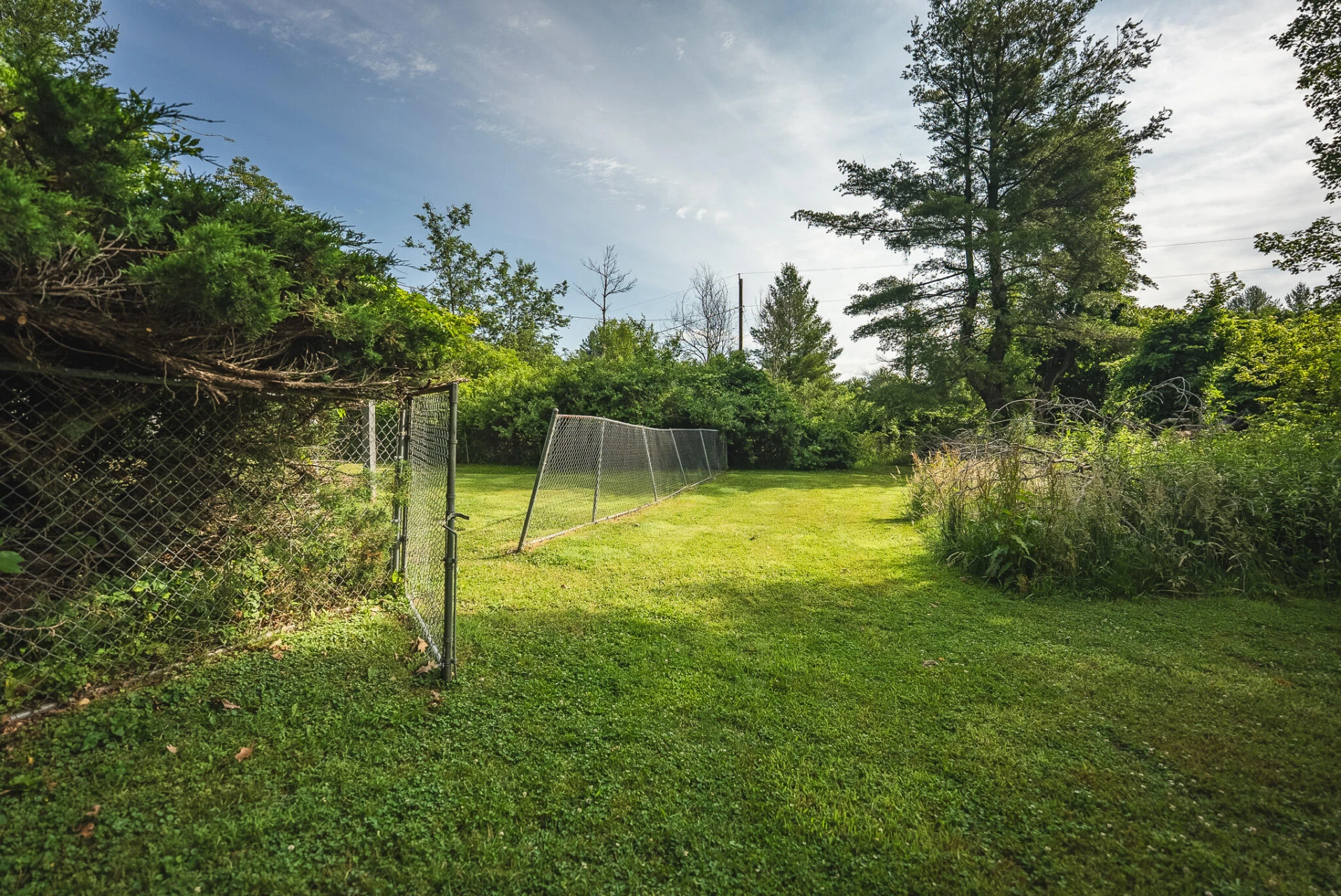10289 Russwood RD - Photo 17