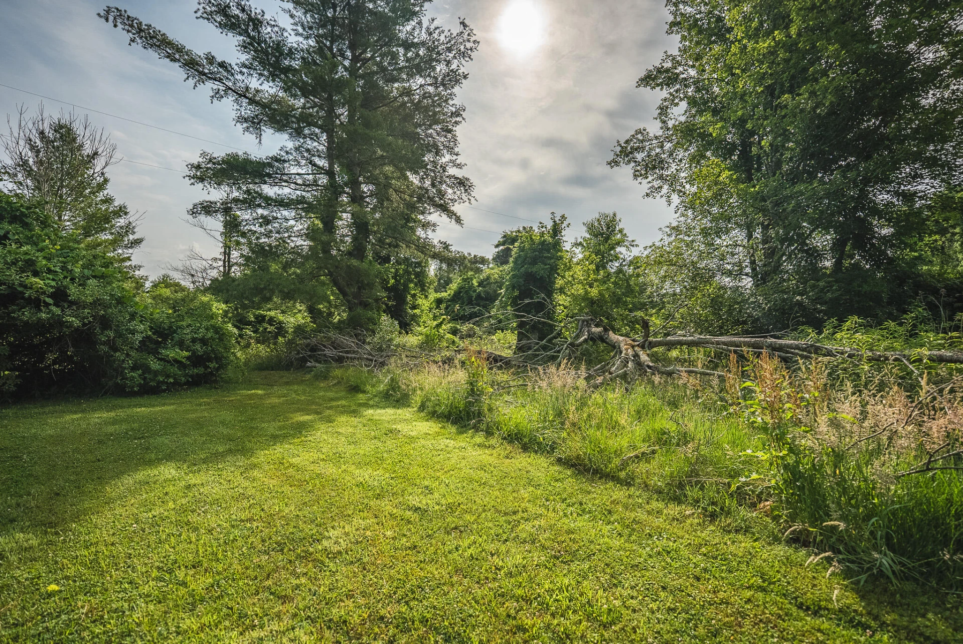 10289 Russwood RD - Photo 18