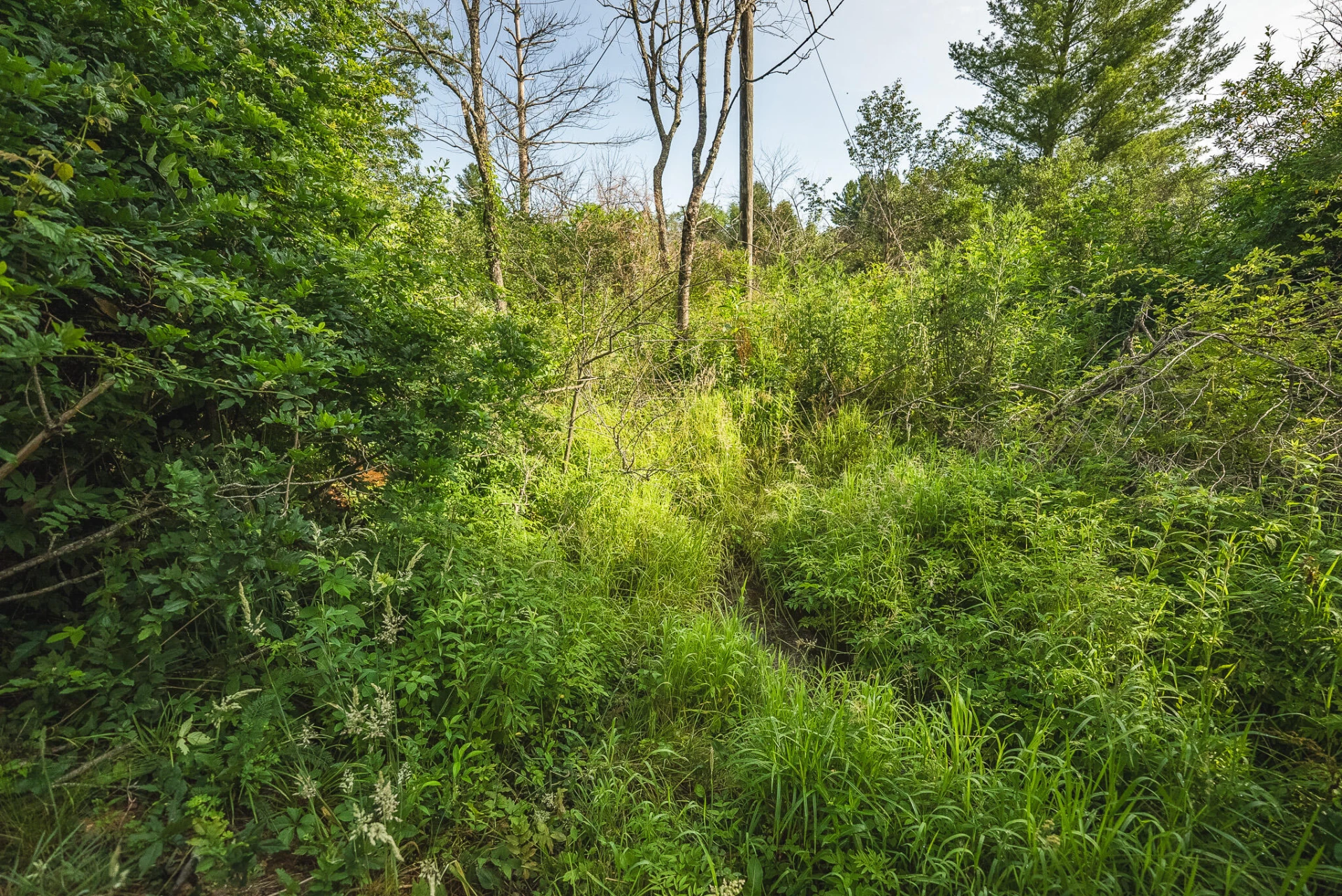 10289 Russwood RD - Photo 20