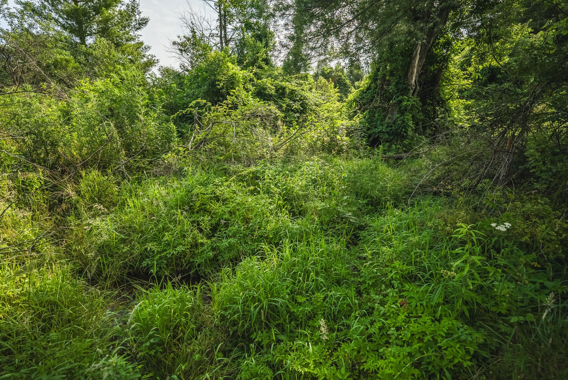 10289 Russwood RD - Photo 21