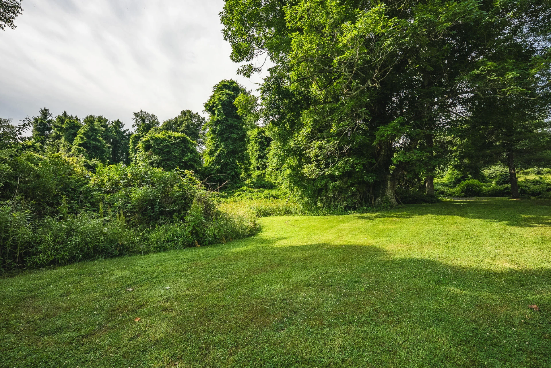 10289 Russwood RD - Photo 24