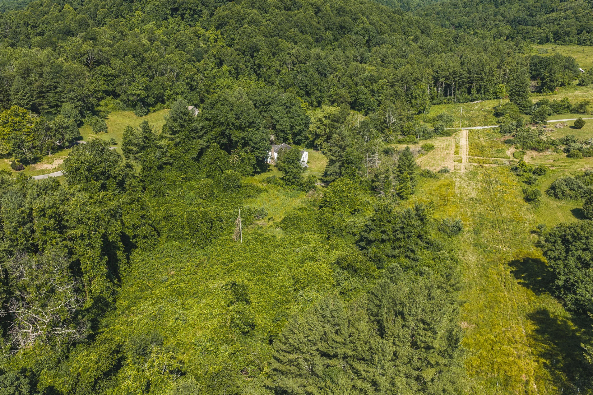 10289 Russwood RD - Photo 3