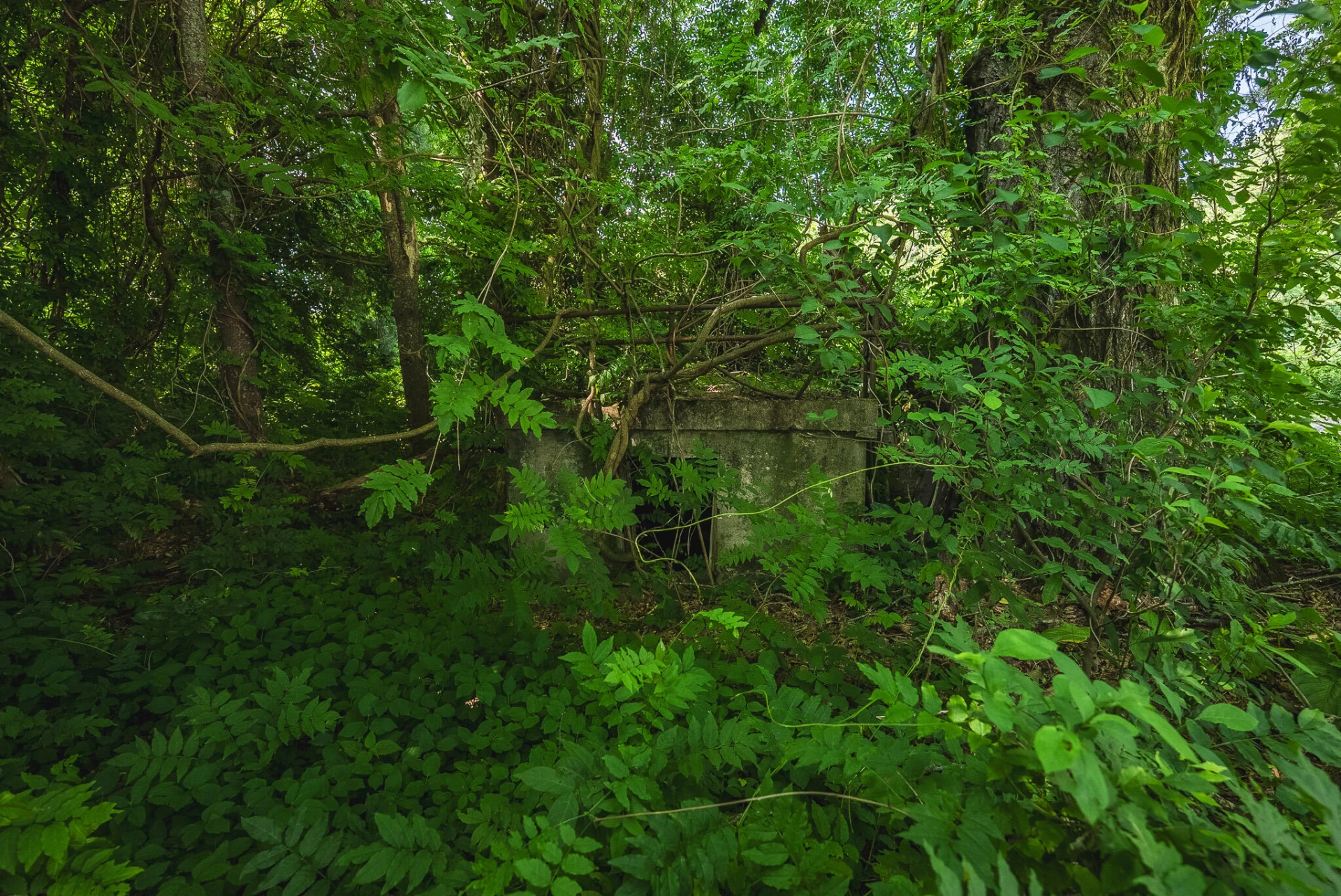10289 Russwood RD - Photo 34