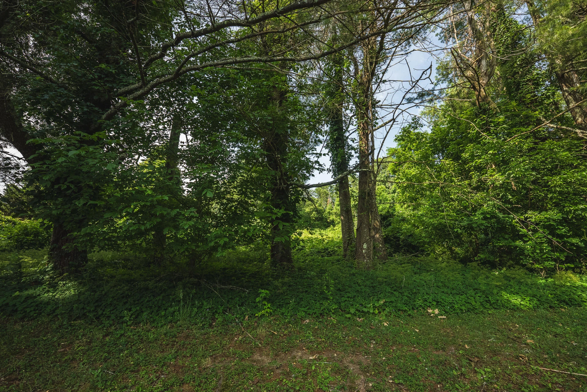 10289 Russwood RD - Photo 37