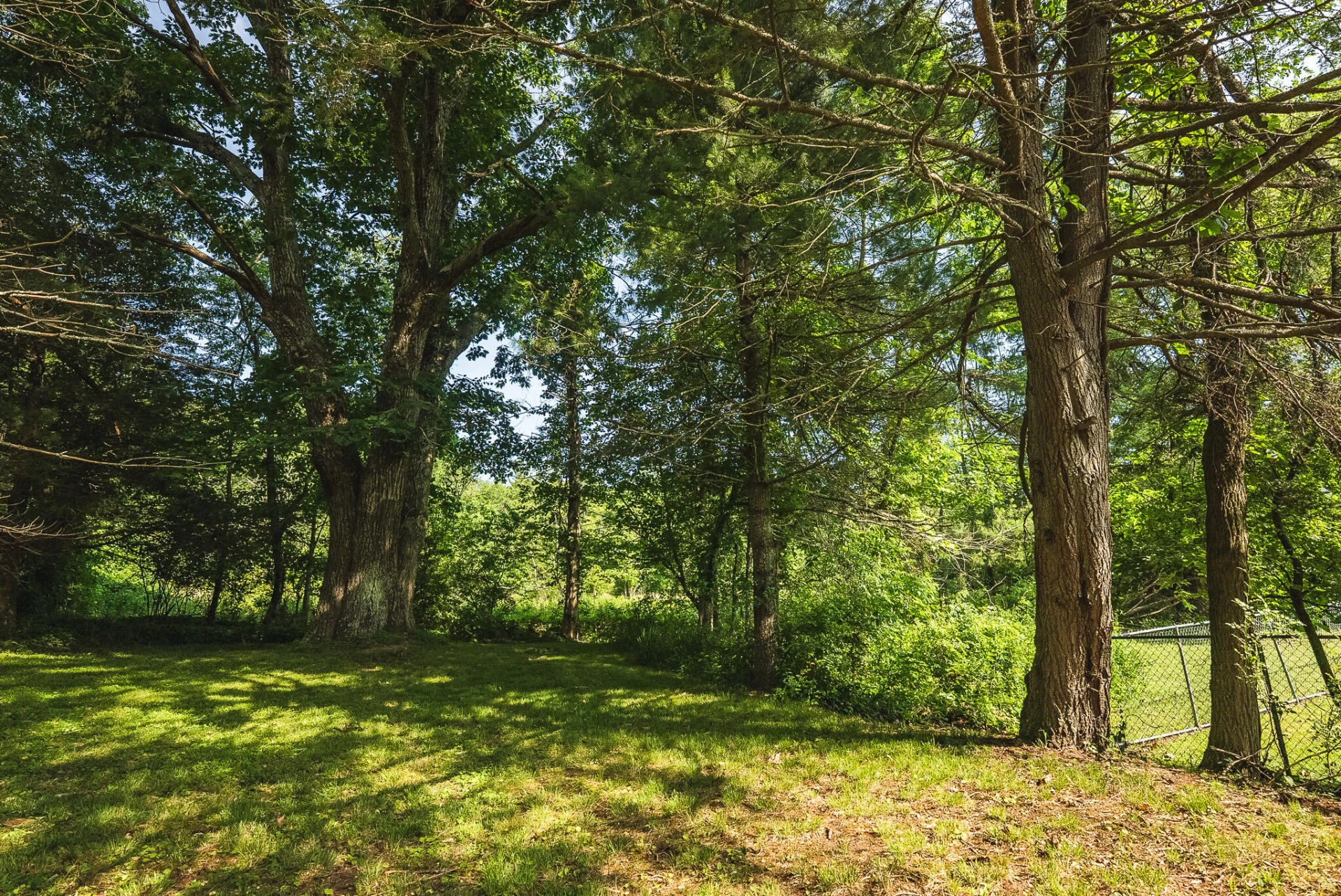 10289 Russwood RD - Photo 38
