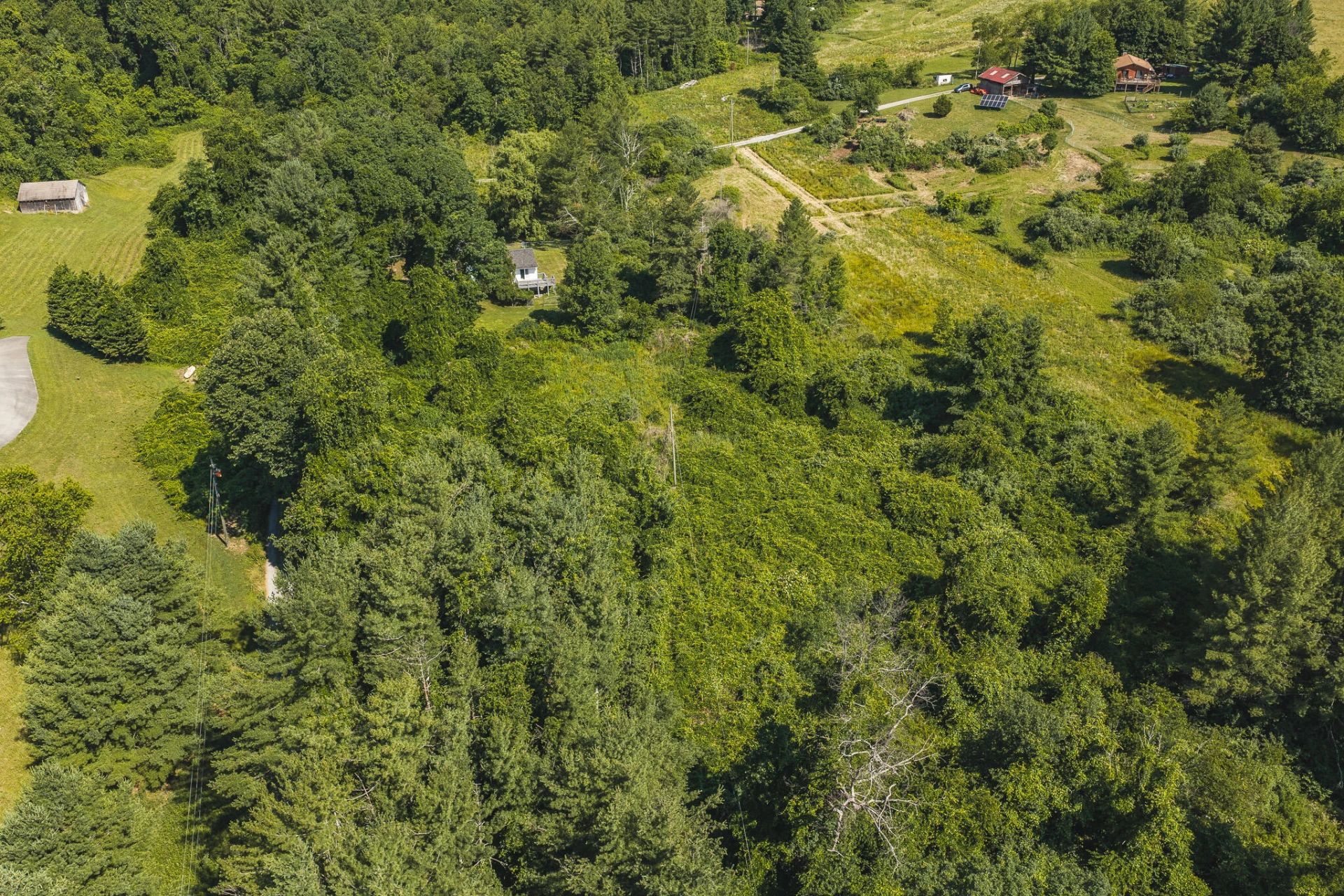 10289 Russwood RD - Photo 4