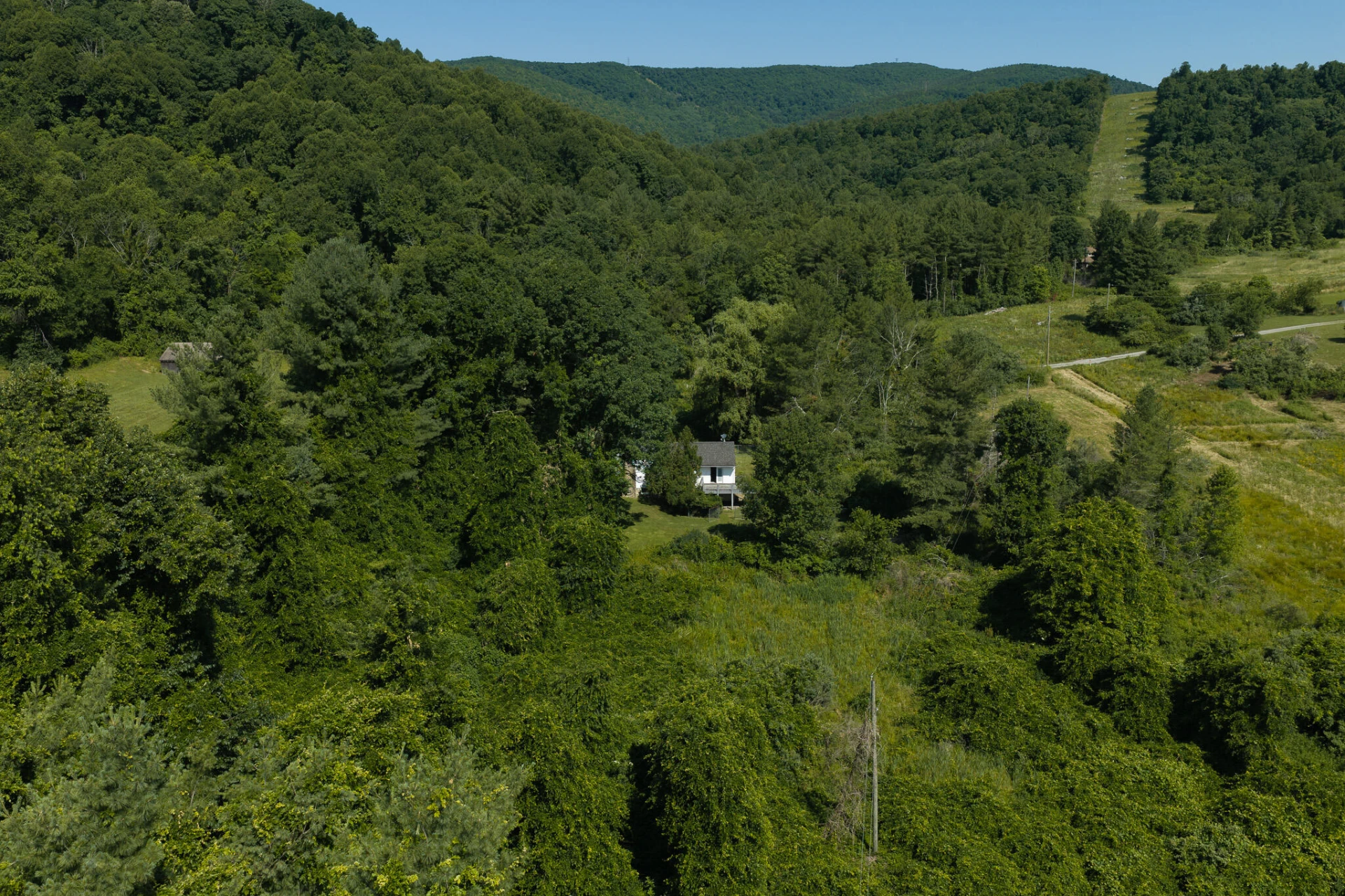 10289 Russwood RD - Photo 5