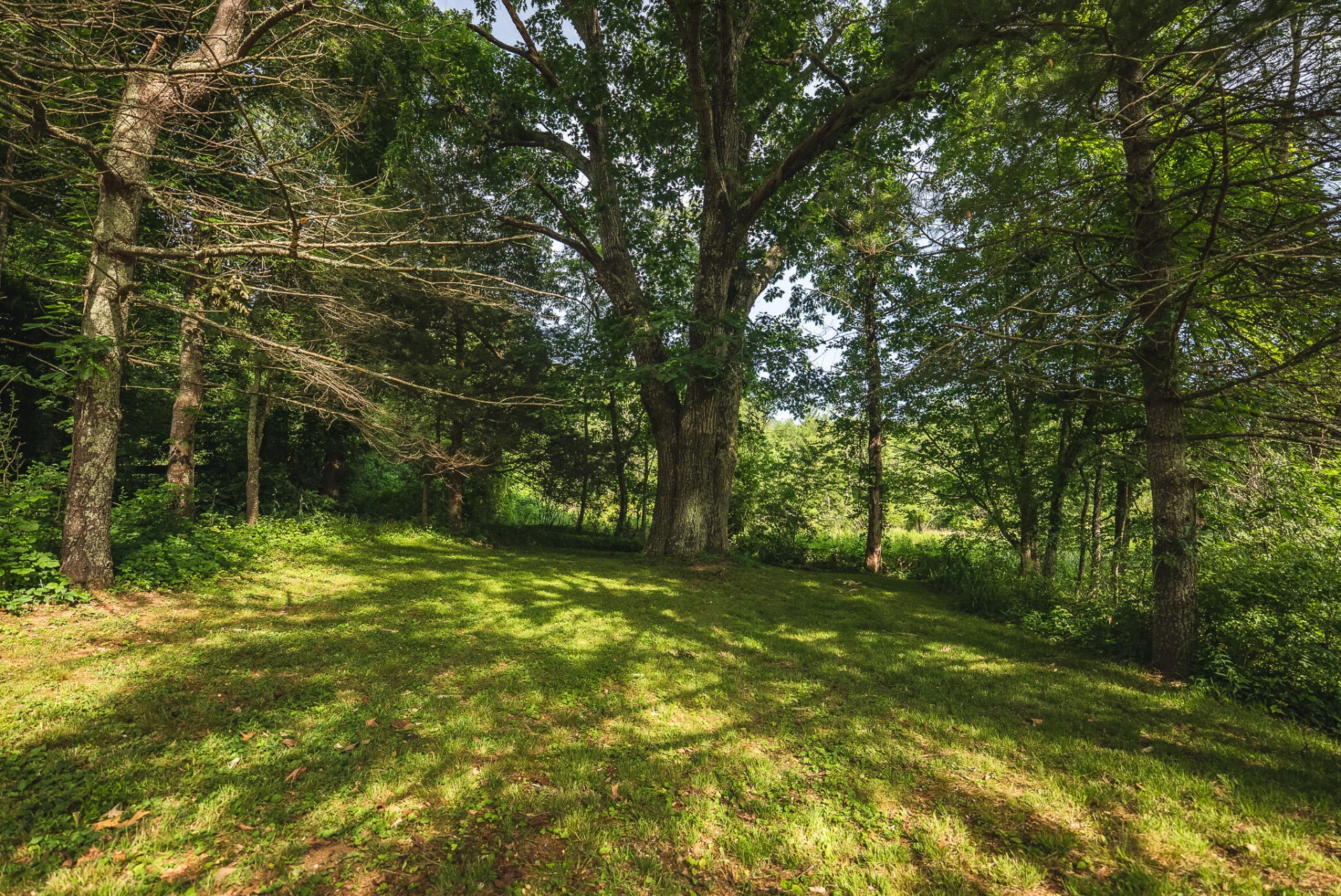 10289 Russwood RD - Photo 9
