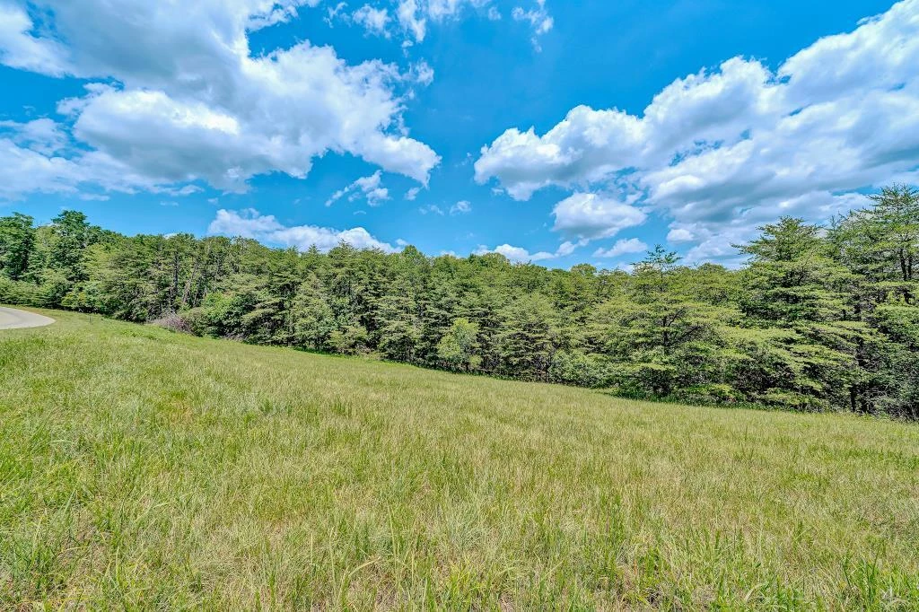 0 Ivyland RD - Photo 10