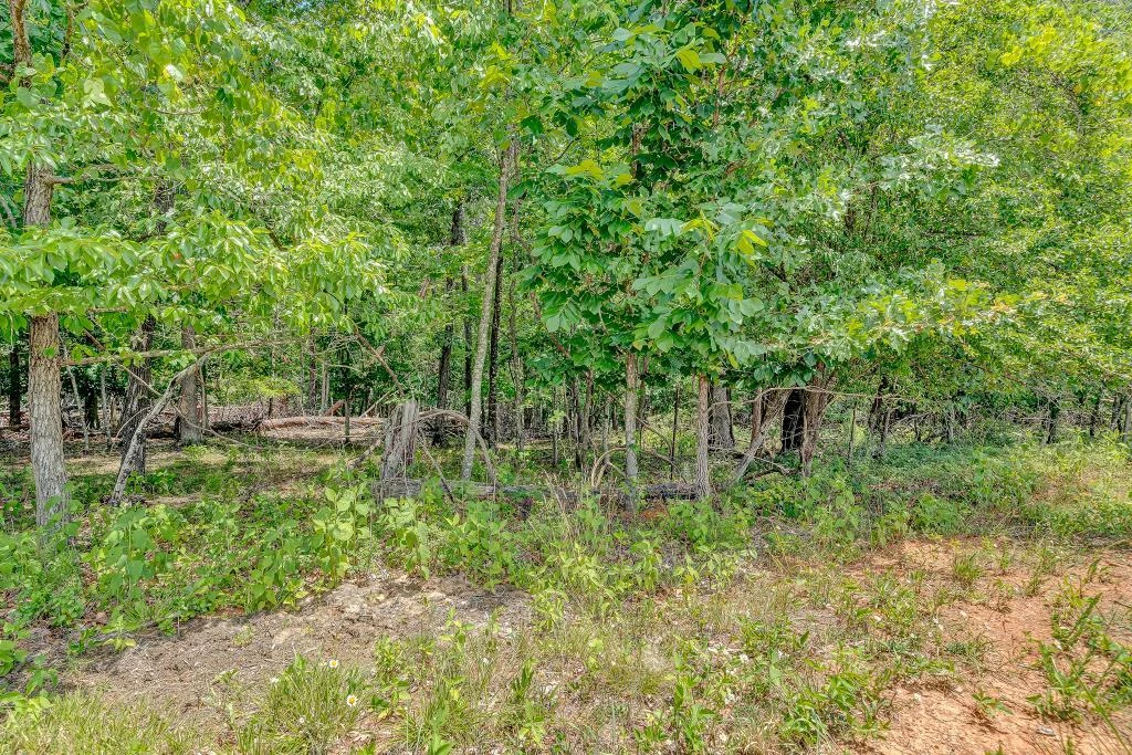 0 Ivyland RD - Photo 11