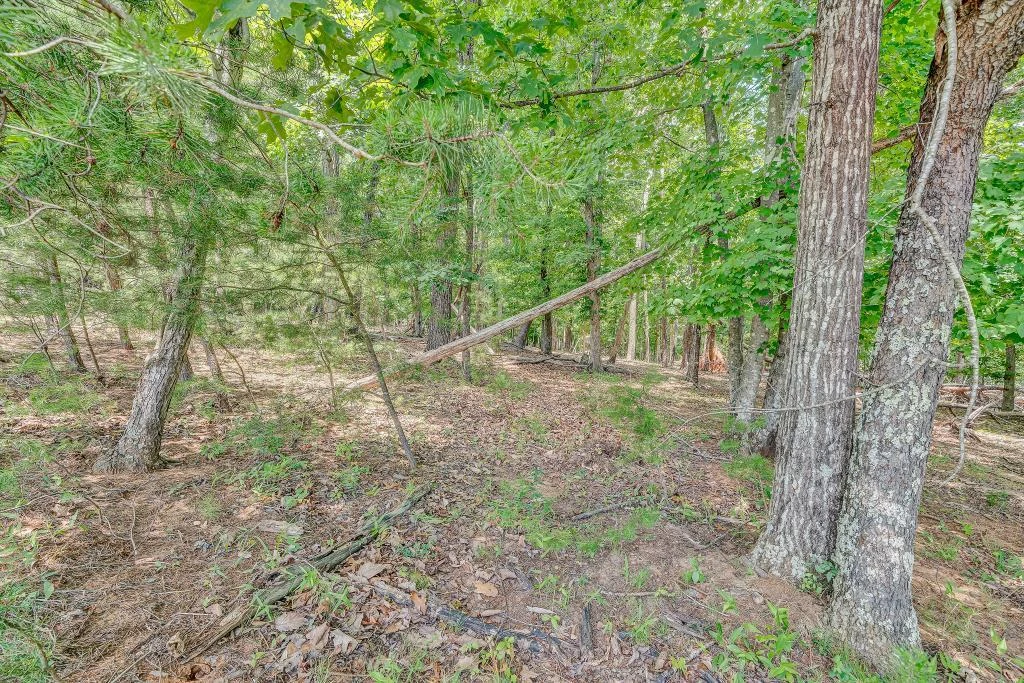 0 Ivyland RD - Photo 12