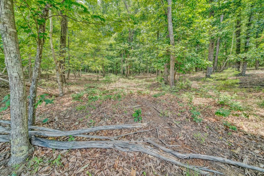 0 Ivyland RD - Photo 13
