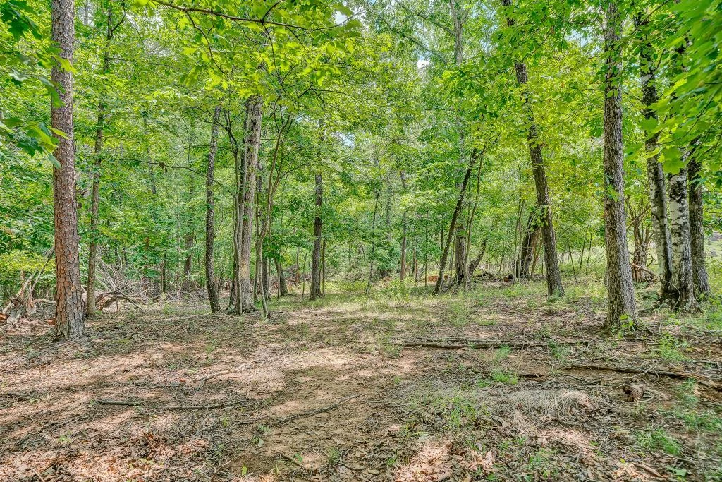 0 Ivyland RD - Photo 14