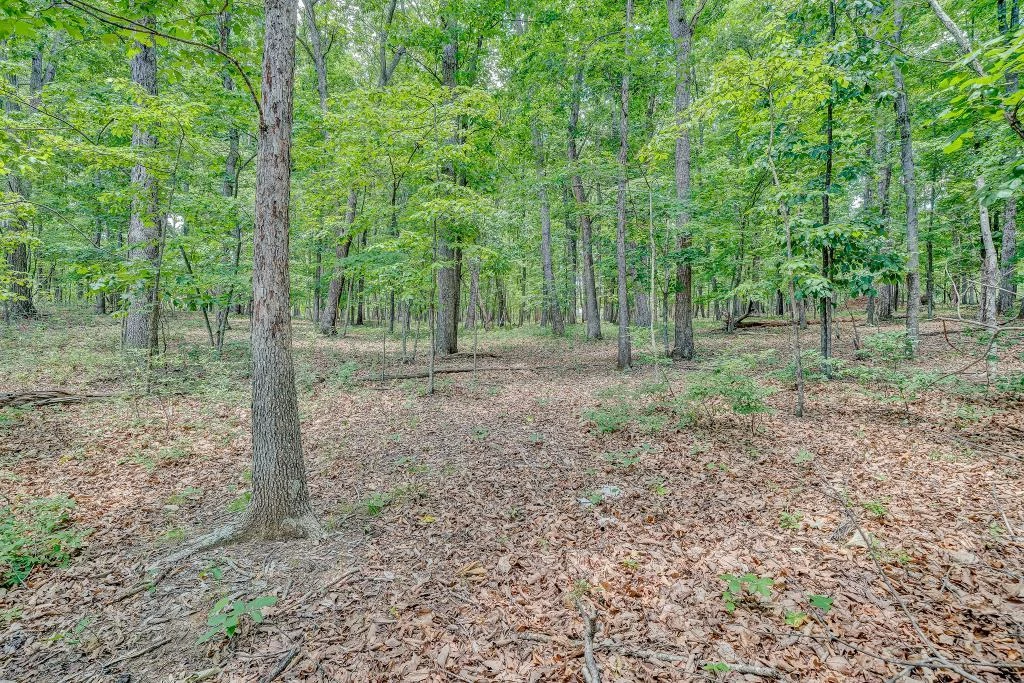 0 Ivyland RD - Photo 15