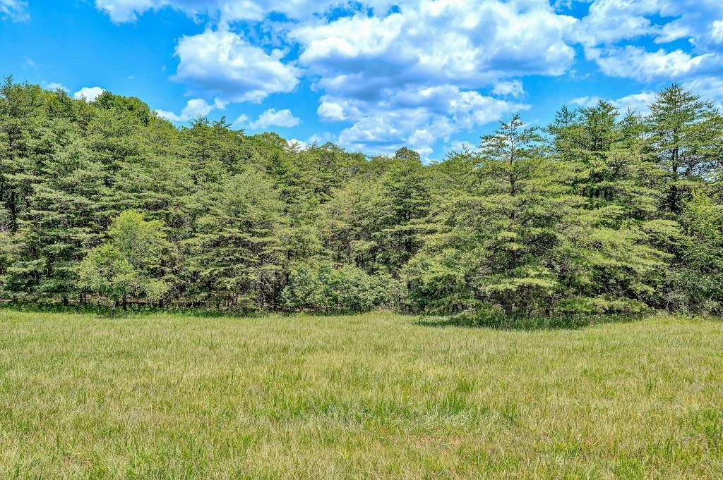0 Ivyland RD - Photo 9