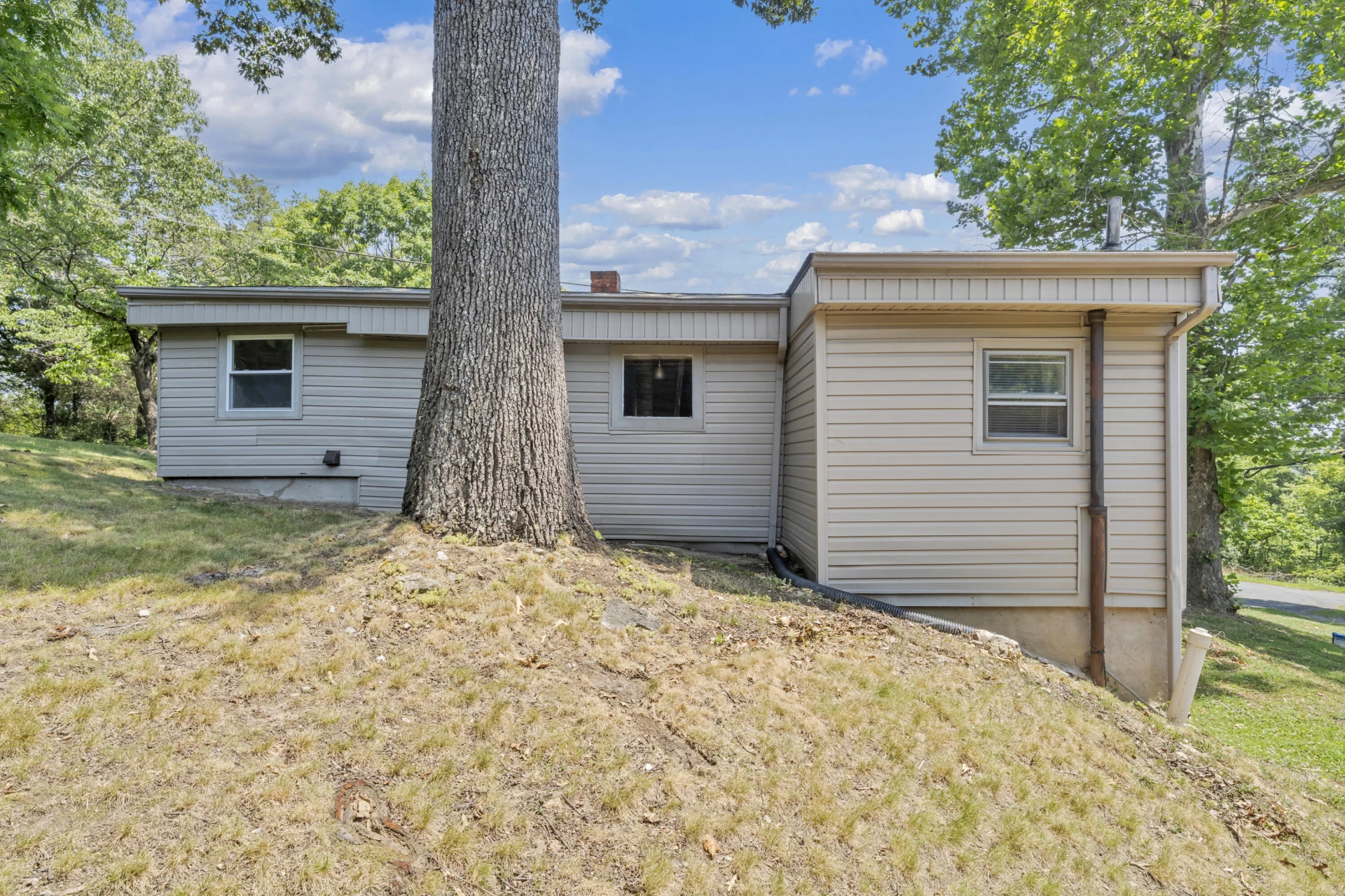 319 Bryant RD - Photo 18