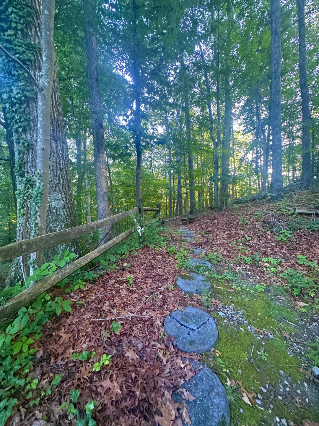 214 Heatherton DR - Photo 28