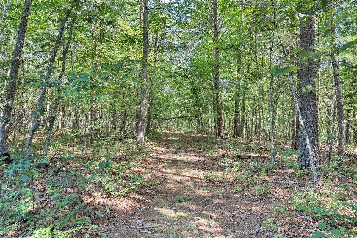 109 Blueberry Hill - Photo 79